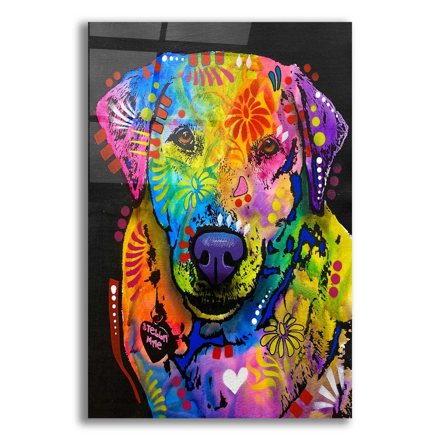Epic Art 'Don't Do A Thing But Run Around' by Dean Russo, Acrylic Glass Wall Art,12x16