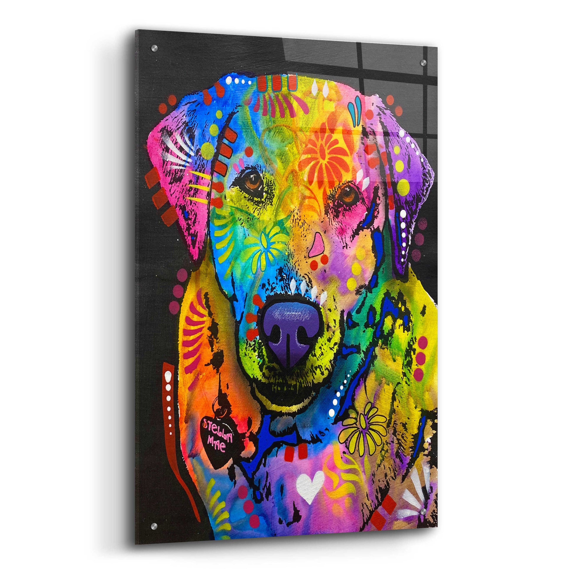 Epic Art 'Don't Do A Thing But Run Around' by Dean Russo, Acrylic Glass Wall Art,24x36