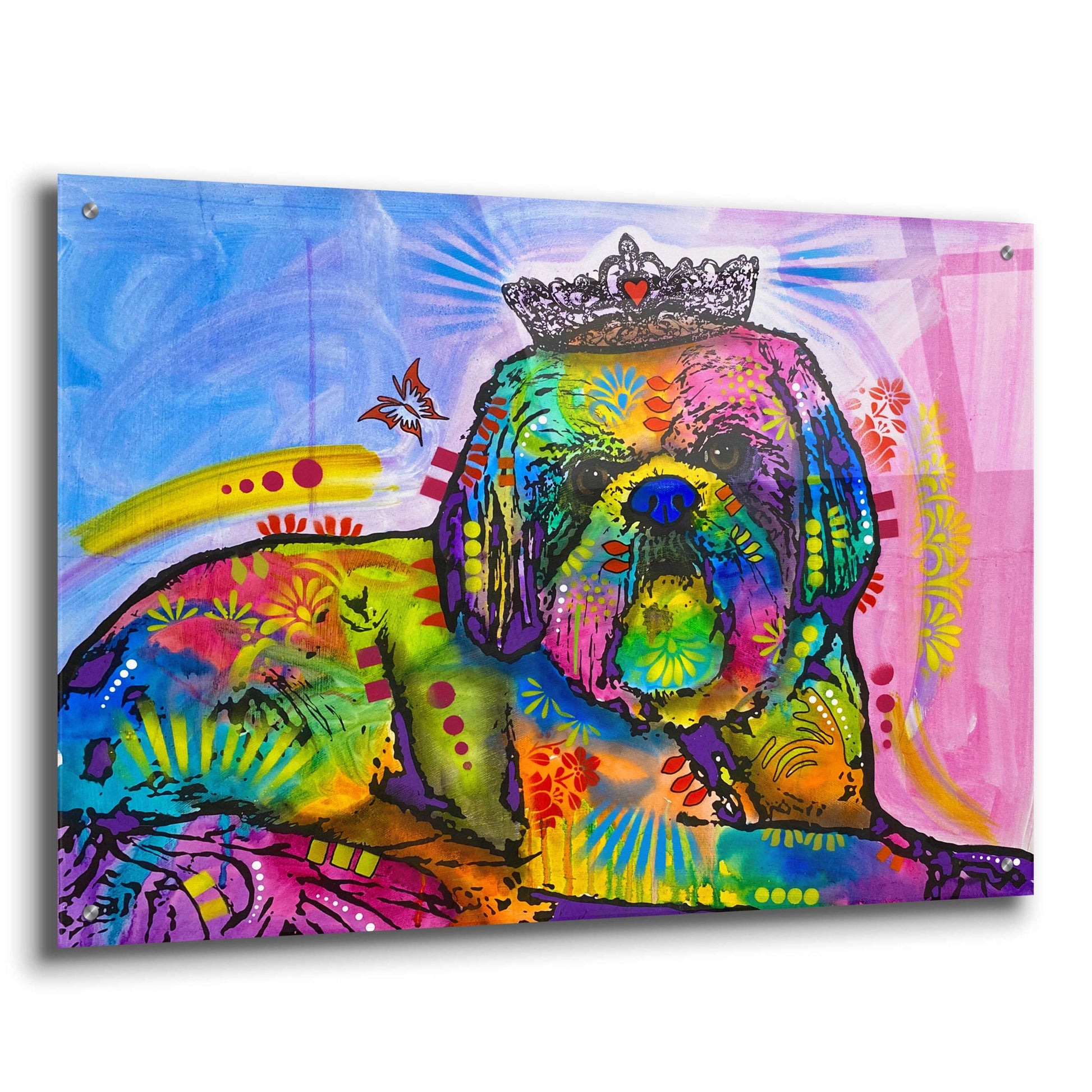 Epic Art 'Princess Buttercup' by Dean Russo, Acrylic Glass Wall Art,36x24