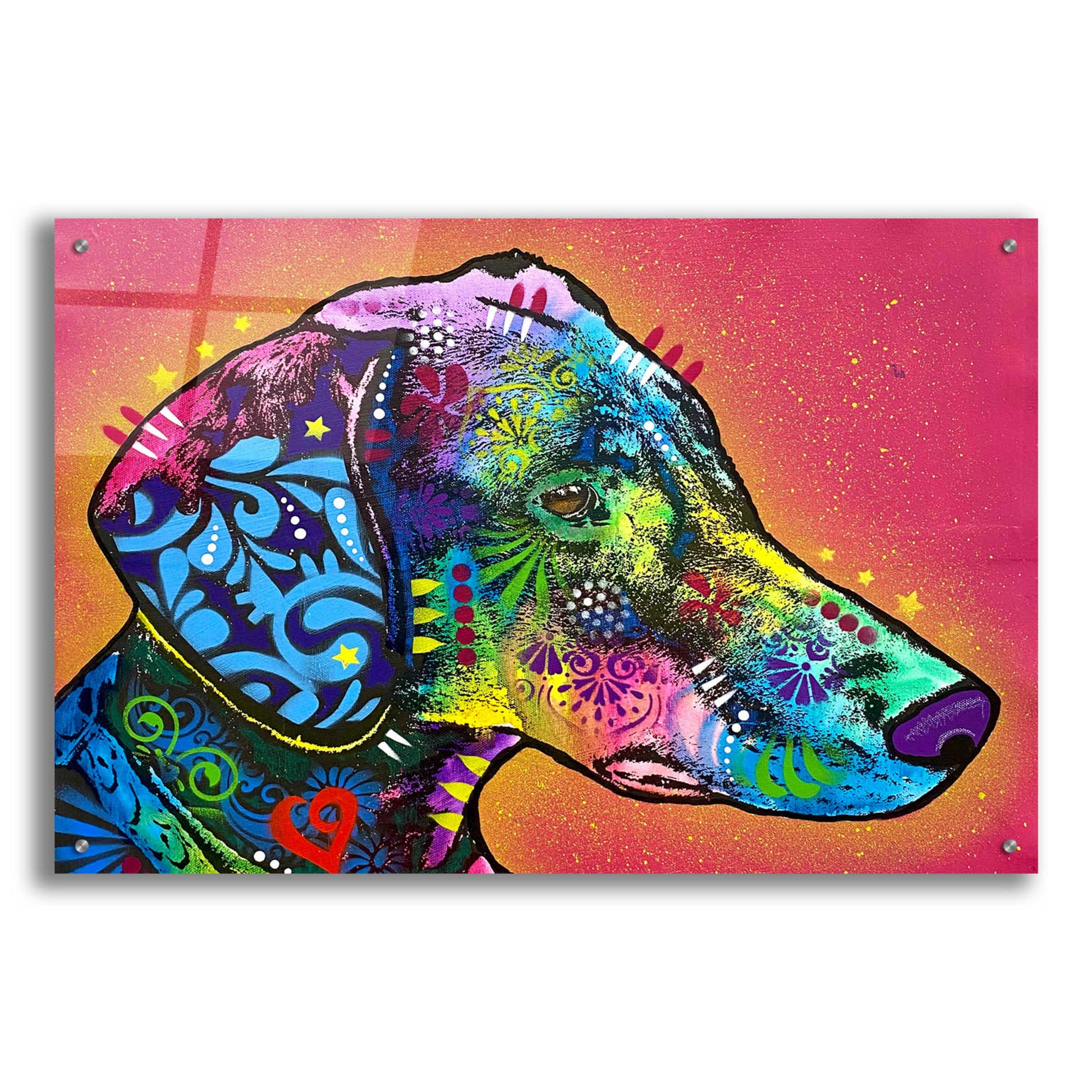 Epic Art 'Watching Your Back' by Dean Russo, Acrylic Glass Wall Art,36x24