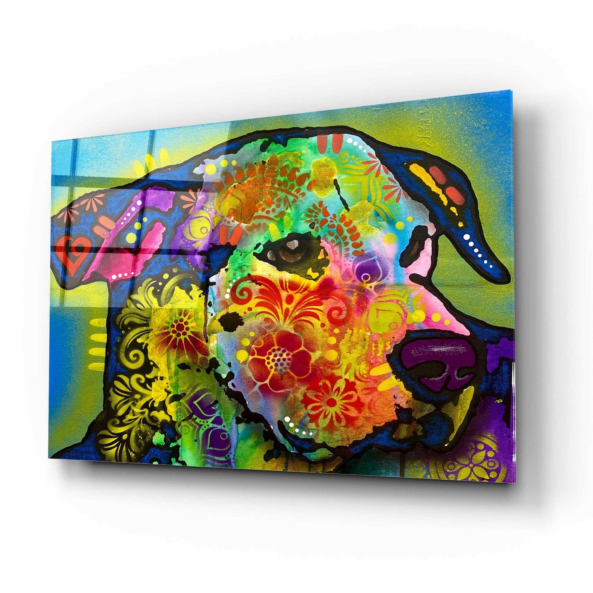 Epic Art 'Whazzat 2' by Dean Russo, Acrylic Glass Wall Art,16x12