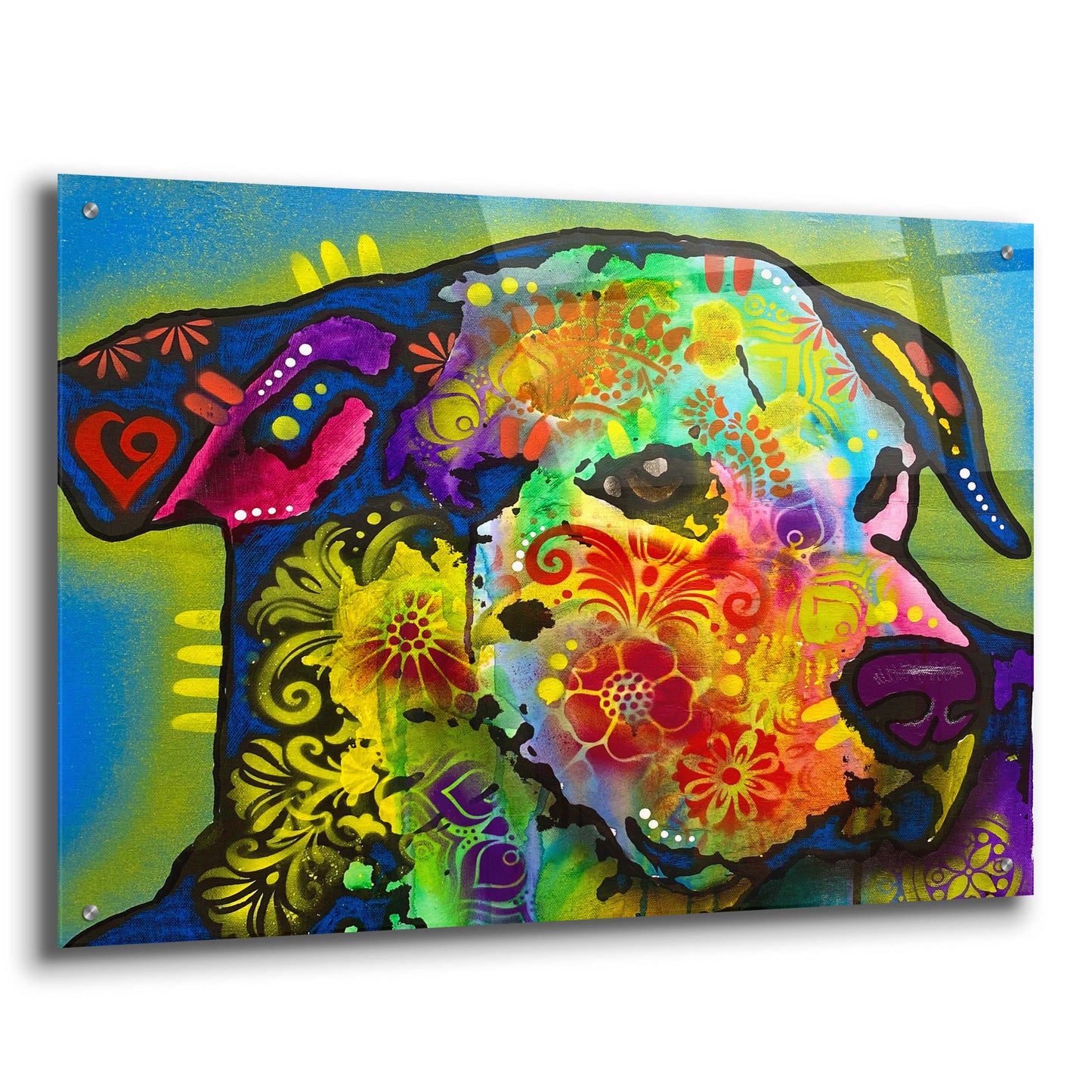 Epic Art 'Whazzat 2' by Dean Russo, Acrylic Glass Wall Art,36x24