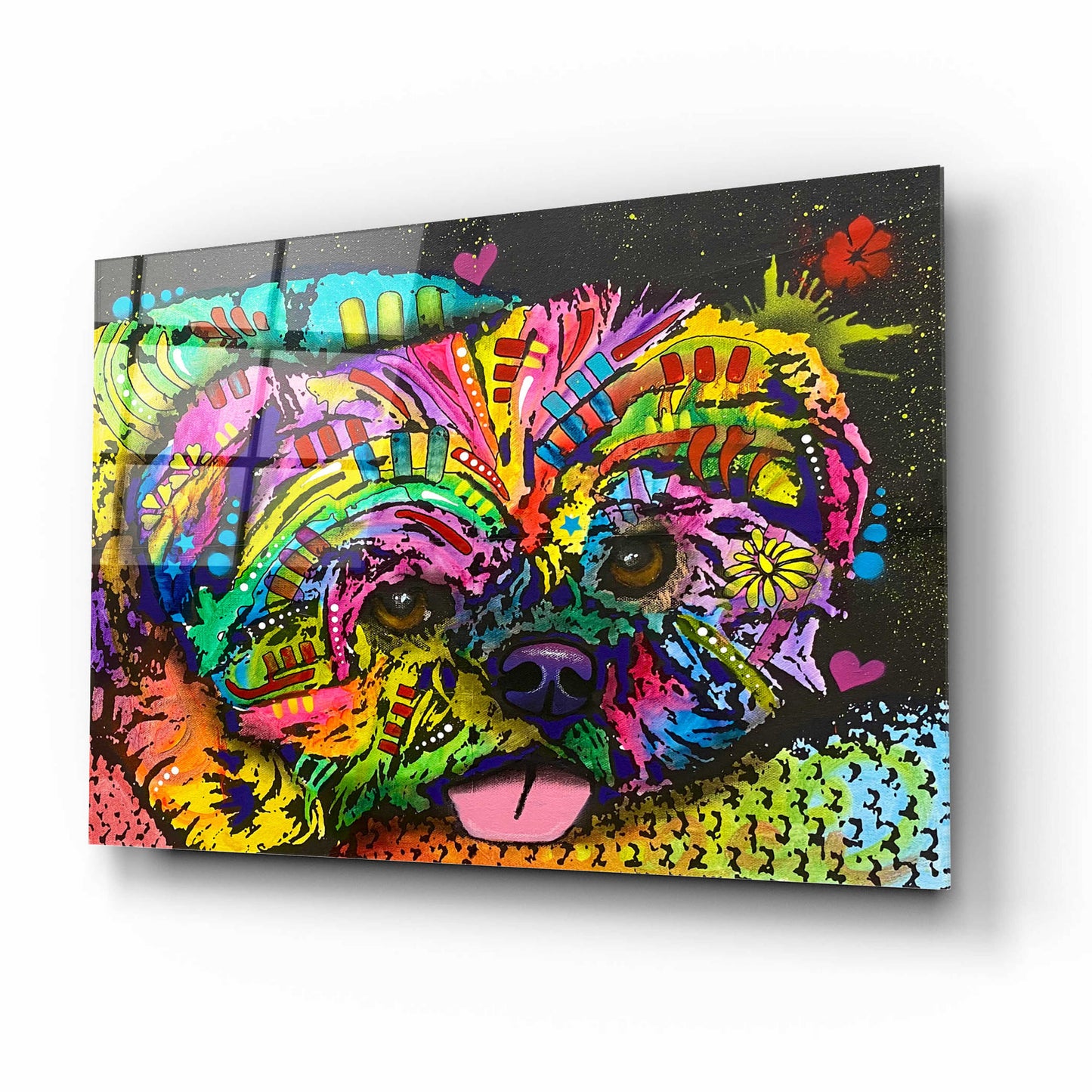 Epic Art 'Pooped Pupper' by Dean Russo, Acrylic Glass Wall Art,16x12