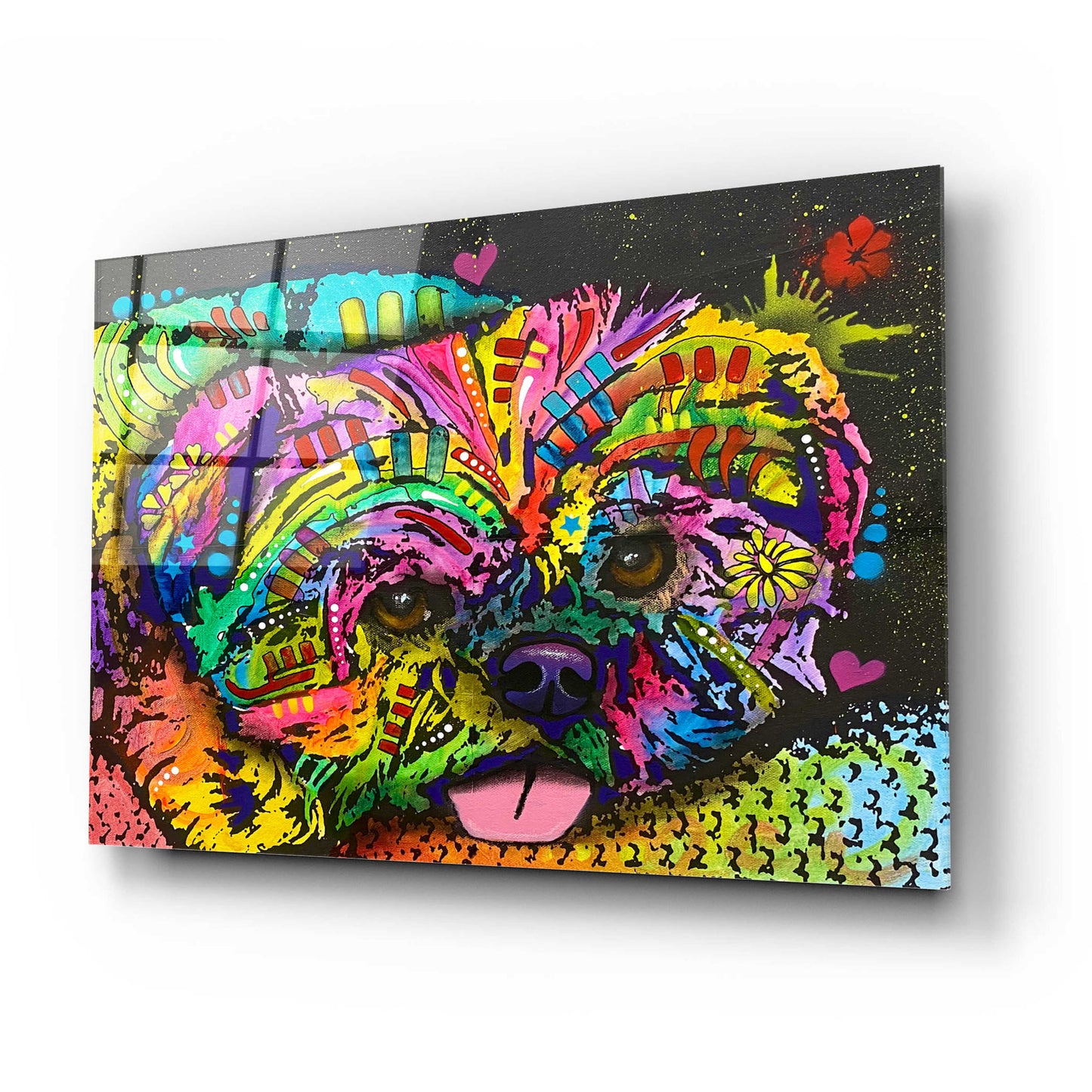 Epic Art 'Pooped Pupper' by Dean Russo, Acrylic Glass Wall Art,24x16