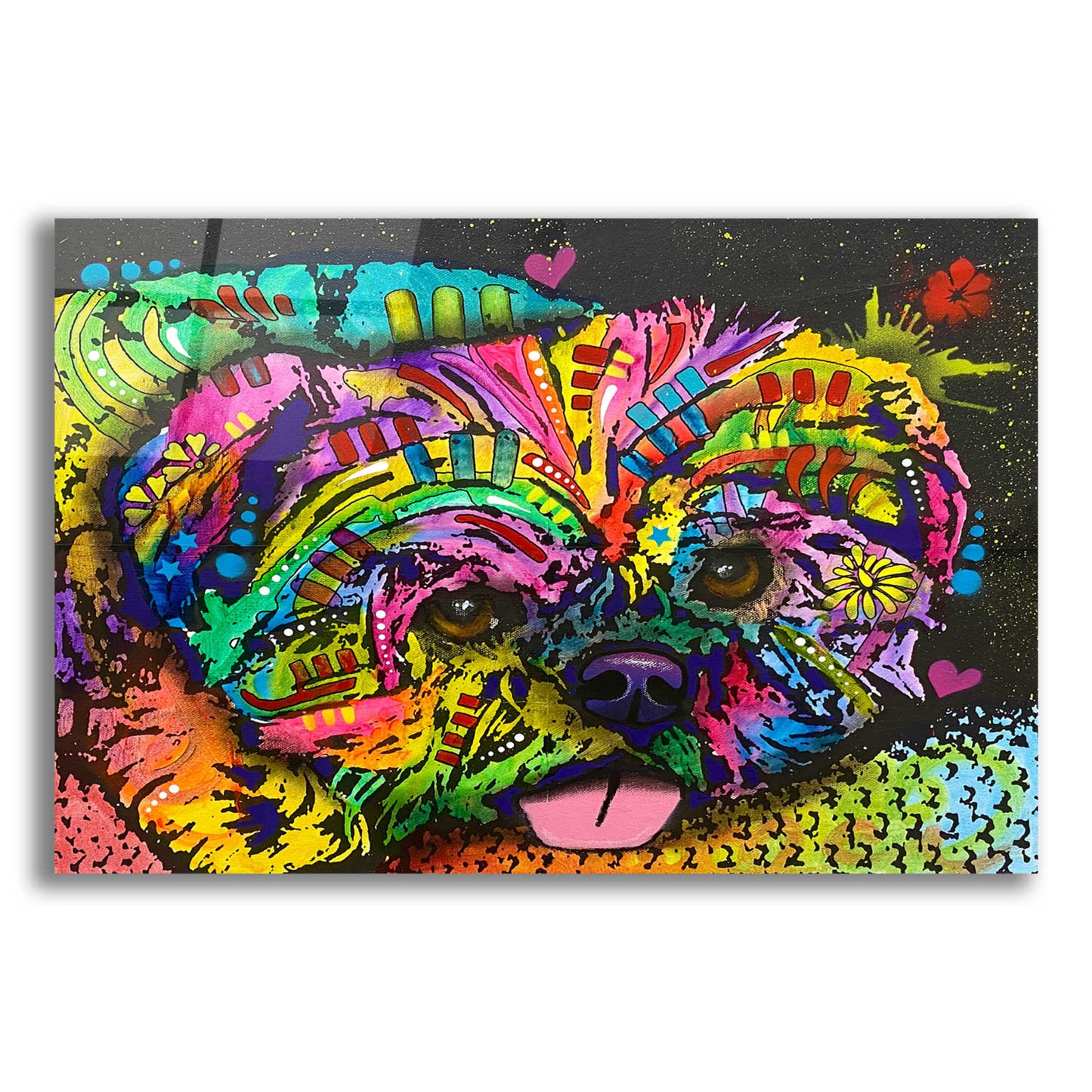 Epic Art 'Pooped Pupper' by Dean Russo, Acrylic Glass Wall Art,24x16