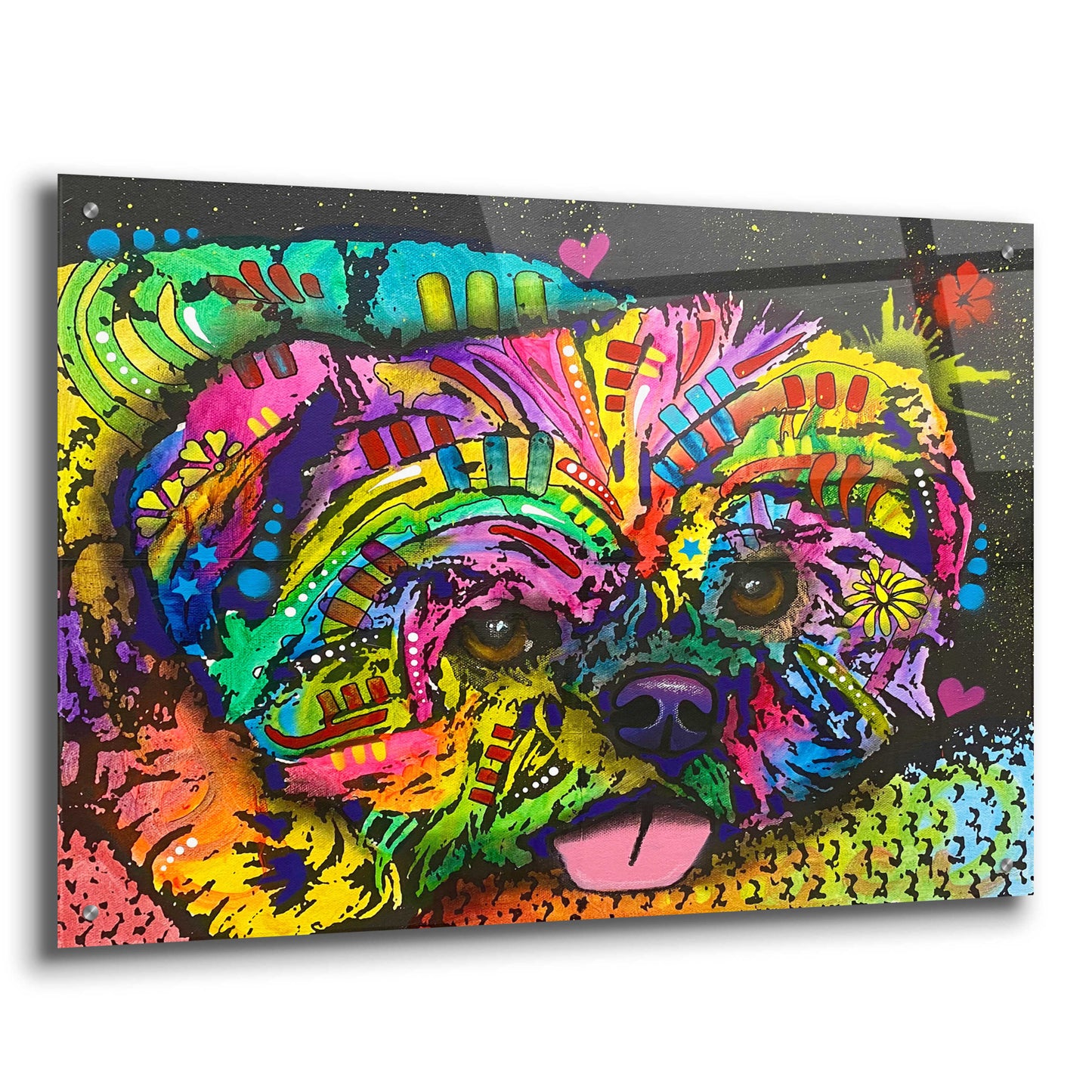 Epic Art 'Pooped Pupper' by Dean Russo, Acrylic Glass Wall Art,36x24