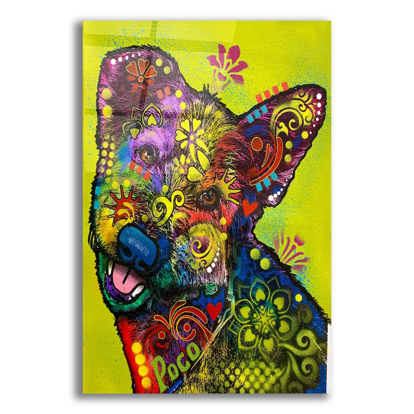 Epic Art 'Did I Ever Tell You How Cute You Are' by Dean Russo, Acrylic Glass Wall Art,12x16