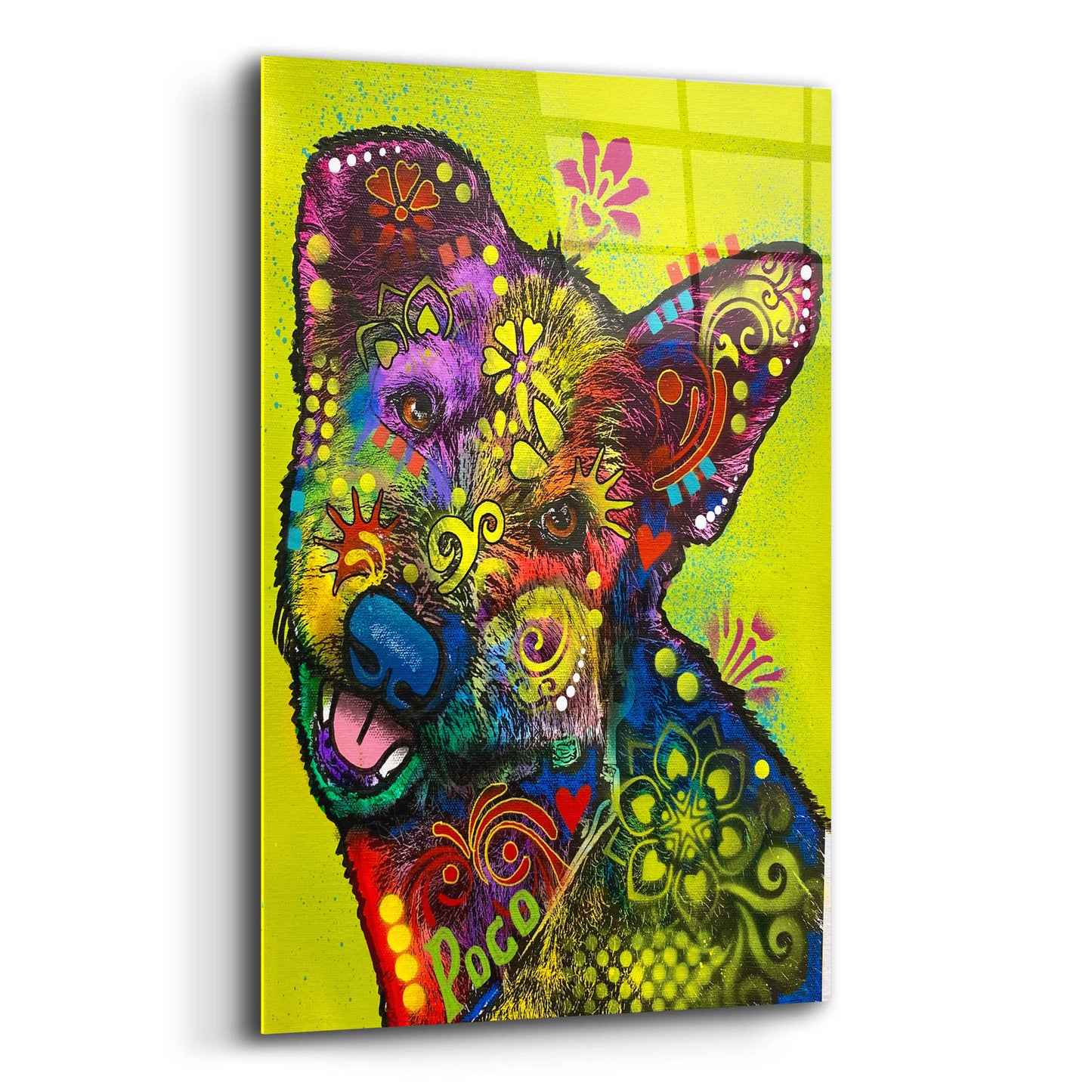 Epic Art 'Did I Ever Tell You How Cute You Are' by Dean Russo, Acrylic Glass Wall Art,16x24