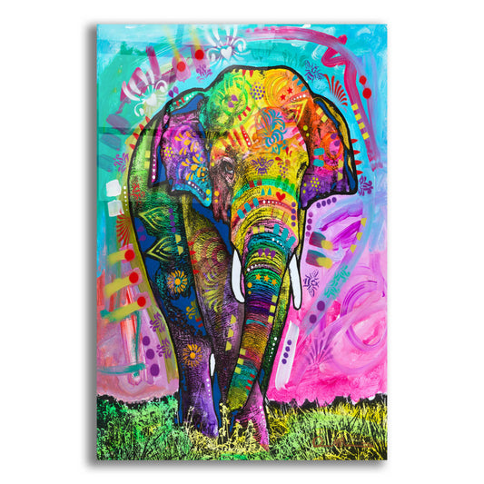Epic Art 'Indian Elephant' by Dean Russo, Acrylic Glass Wall Art