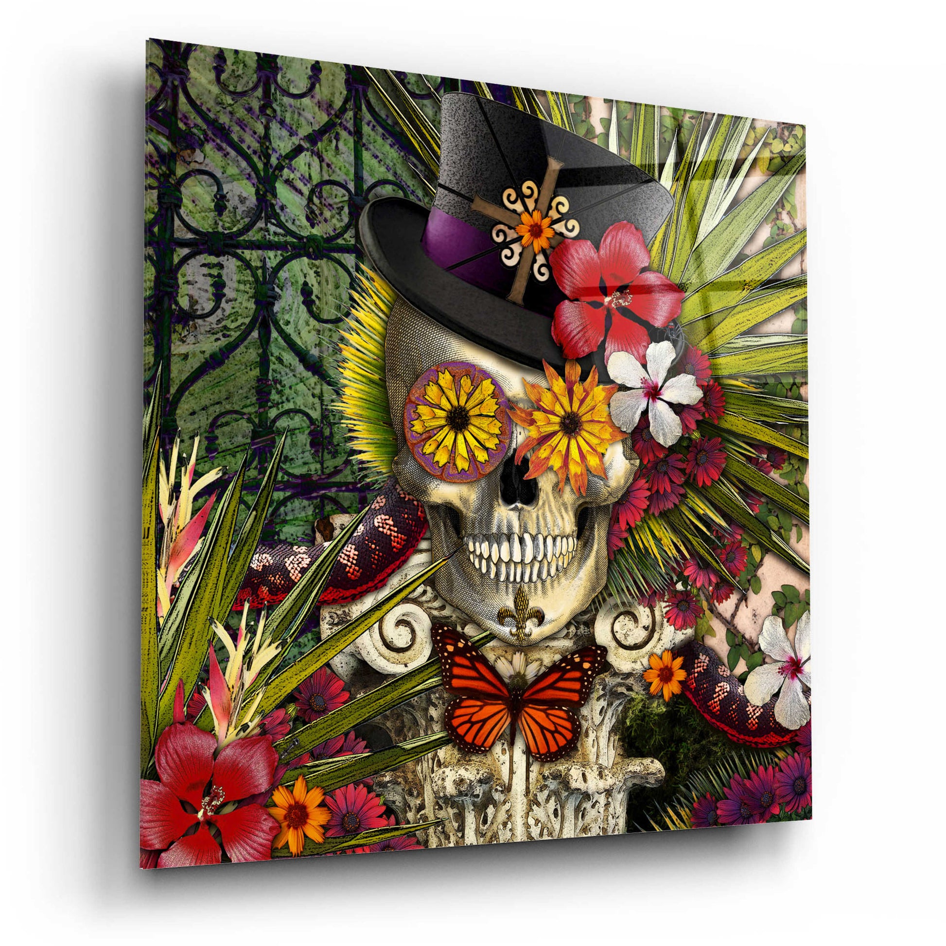 Epic Art 'Baron in Bloom' by Fusion Idol Arts, Acrylic Glass Wall Art,12x12