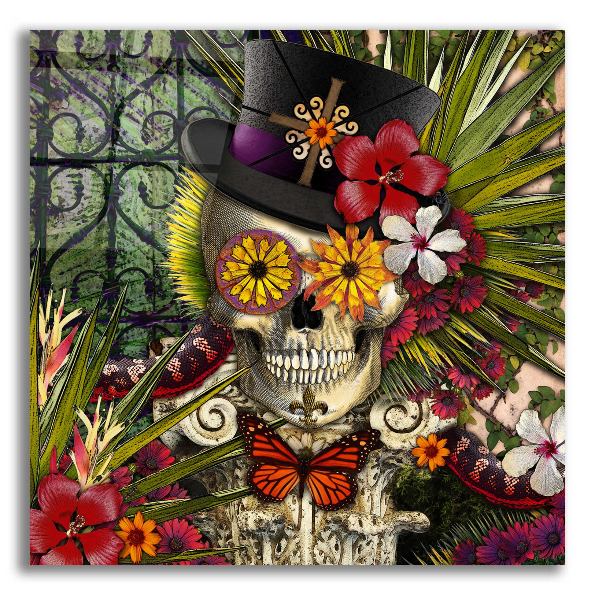 Epic Art 'Baron in Bloom' by Fusion Idol Arts, Acrylic Glass Wall Art,12x12