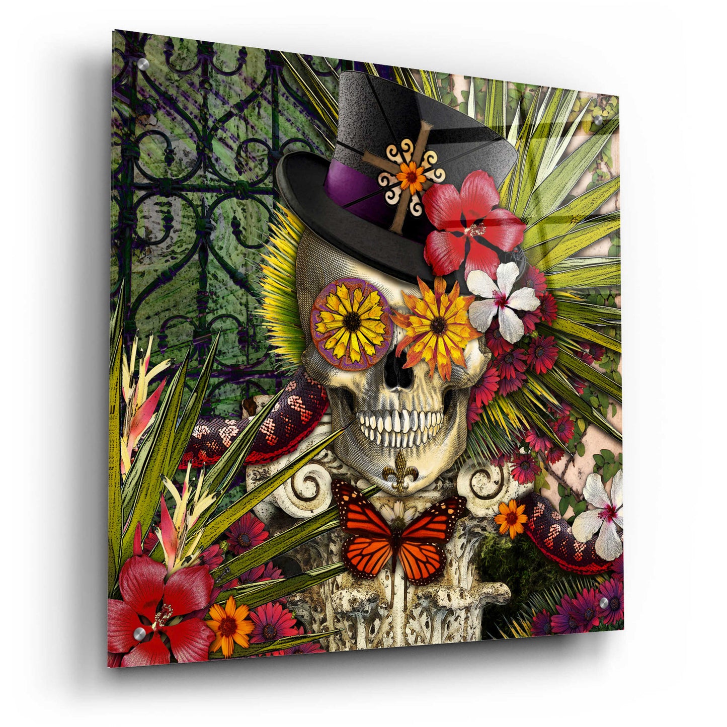 Epic Art 'Baron in Bloom' by Fusion Idol Arts, Acrylic Glass Wall Art,24x24