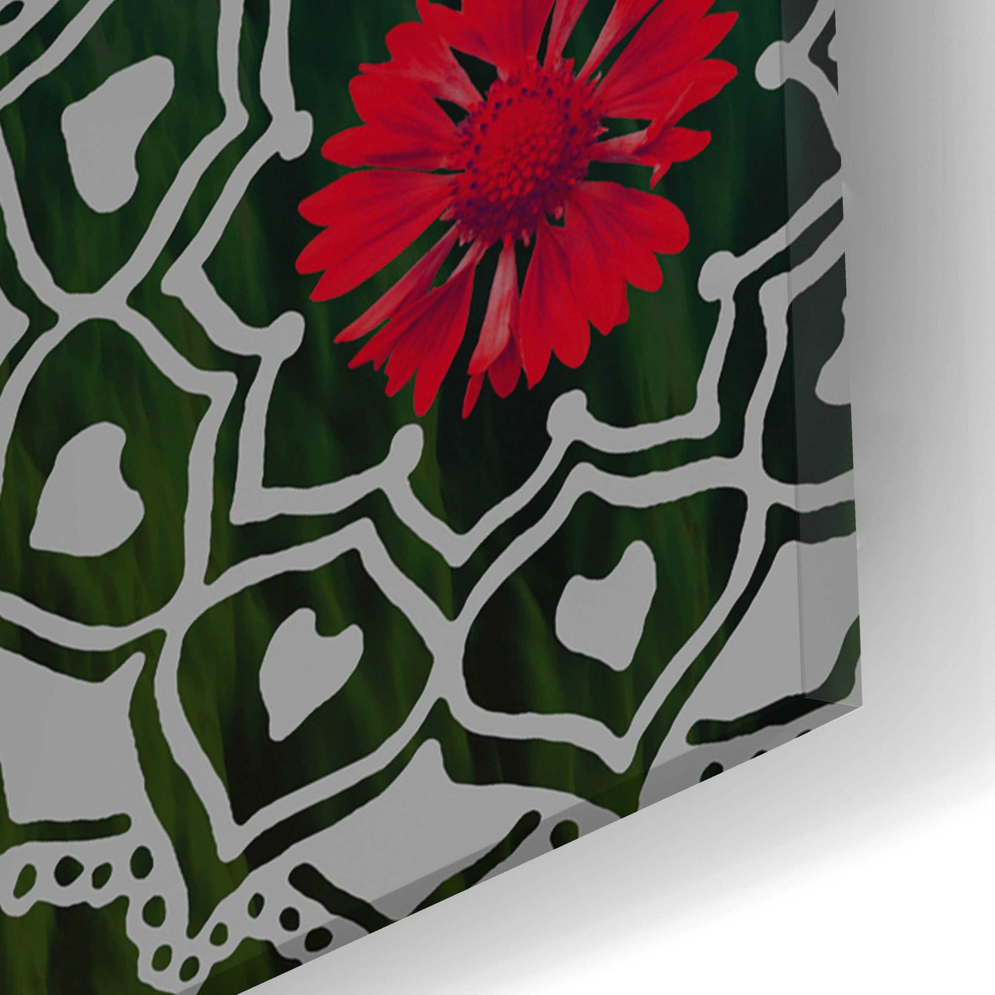 Epic Art 'Sugar Skull Paisley Garden' by Fusion Idol Arts, Acrylic Glass Wall Art,16x24