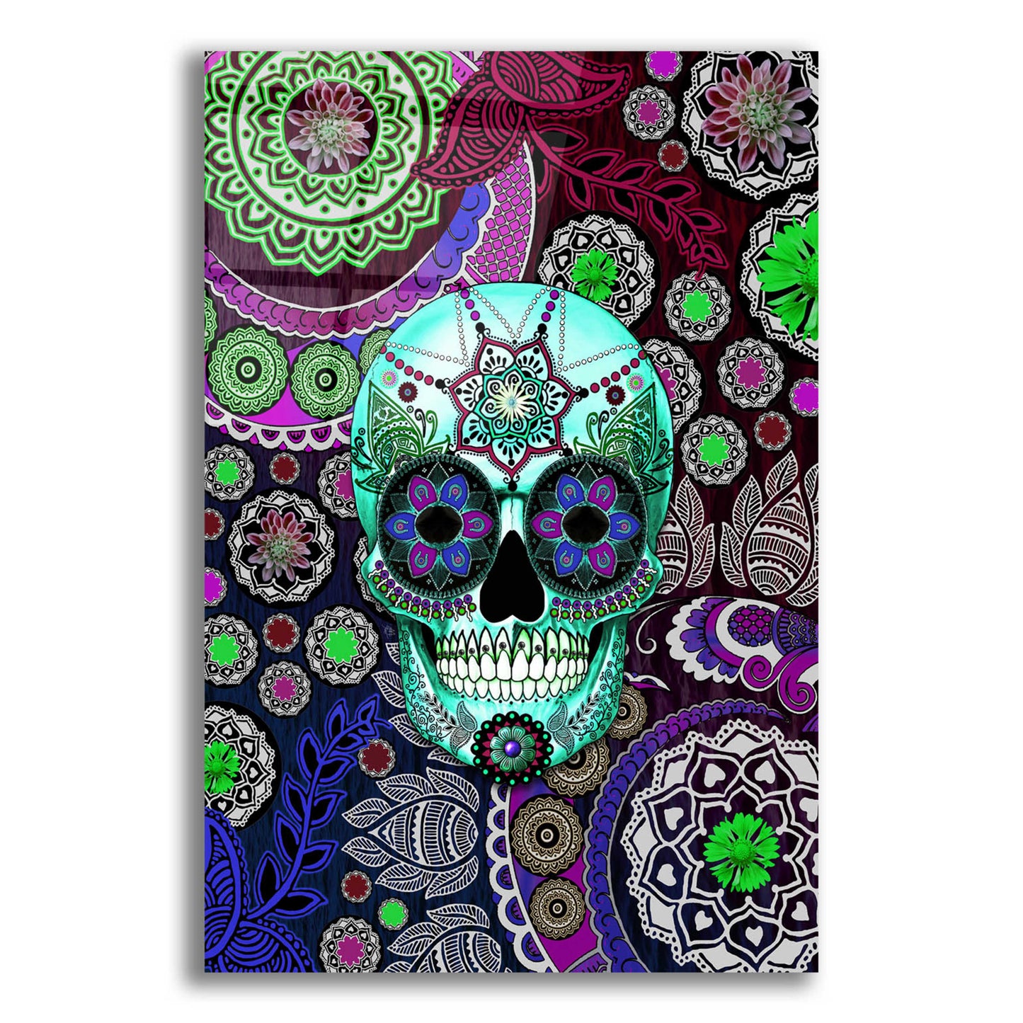 Epic Art 'Sugar Skull Sombrero Night' by Fusion Idol Arts, Acrylic Glass Wall Art,12x16