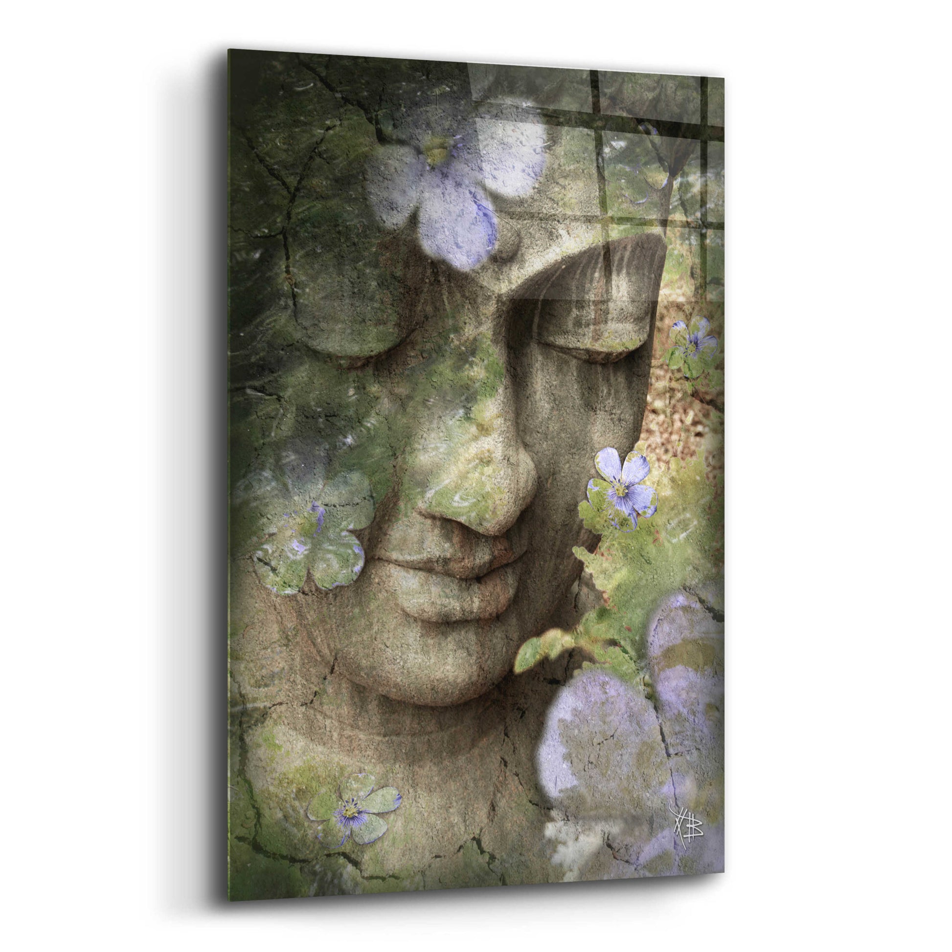 Epic Art 'Inner Tranquility' by Fusion Idol Arts, Acrylic Glass Wall Art,12x16