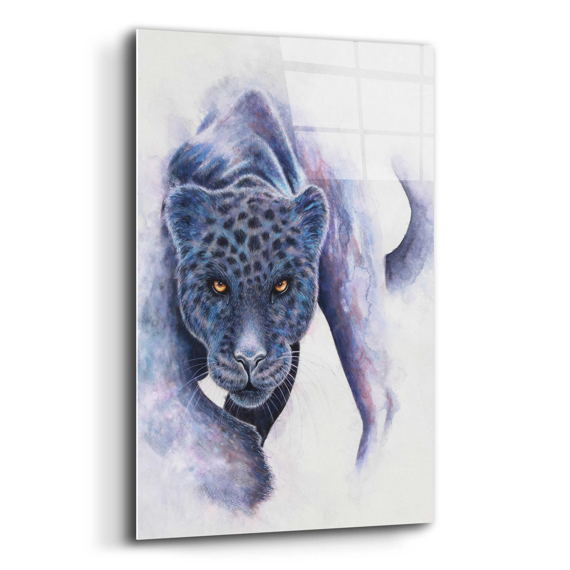 Epic Art 'Spotted Black Panther' by Michelle Faber, Acrylic Glass Wall Art,12x16