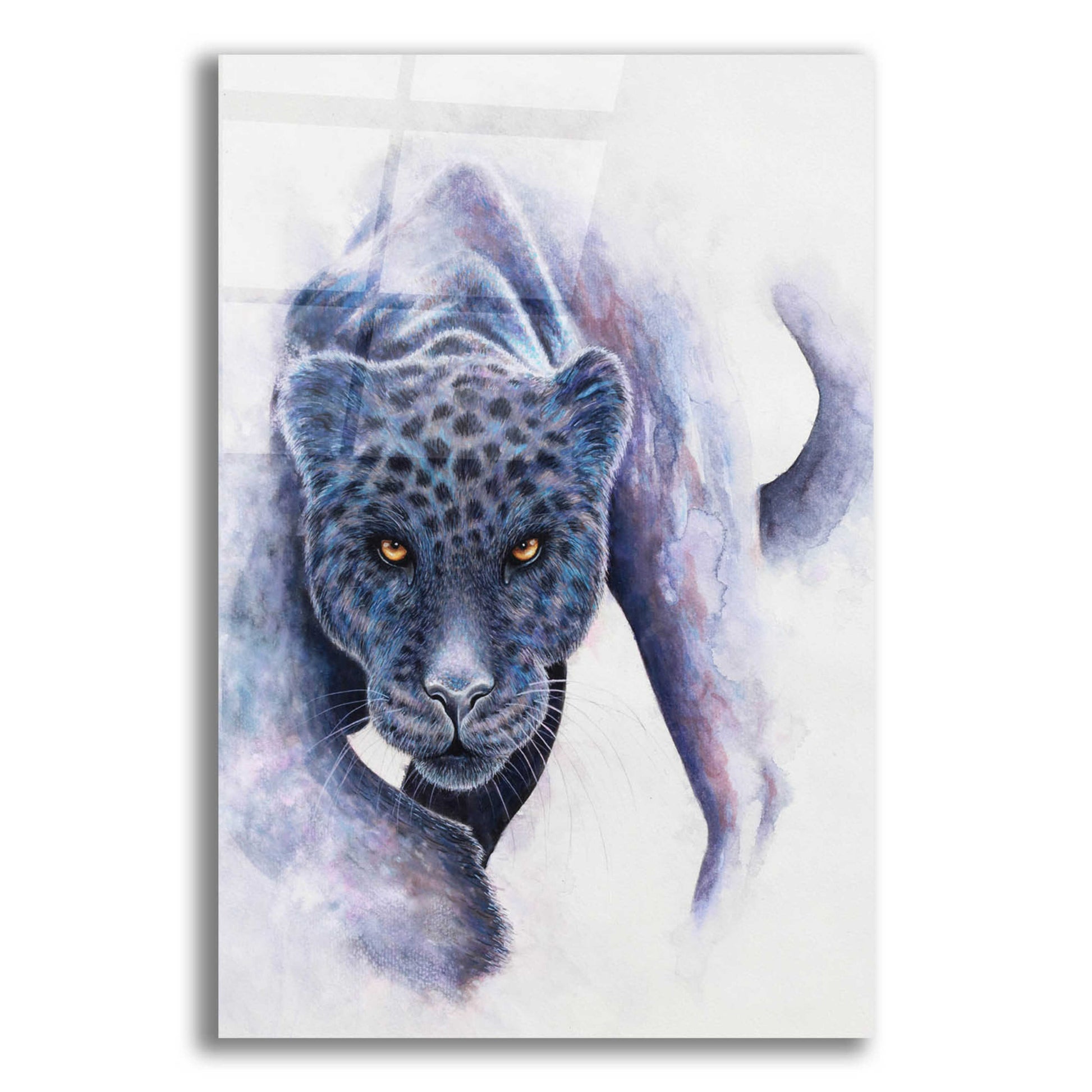 Epic Art 'Spotted Black Panther' by Michelle Faber, Acrylic Glass Wall Art,12x16