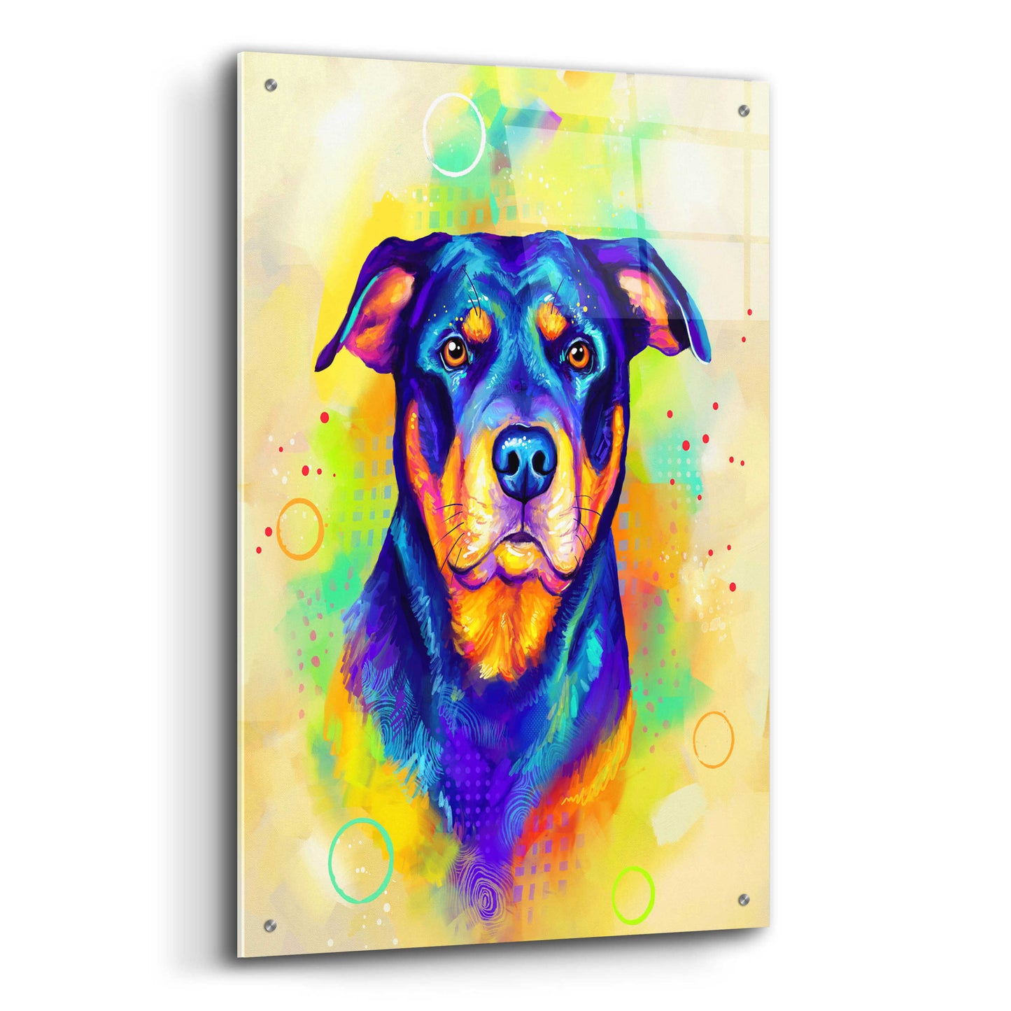 Epic Art 'Pop Art Rottweiler' by Furbaby Affiliates, Acrylic Glass Wall Art,24x36