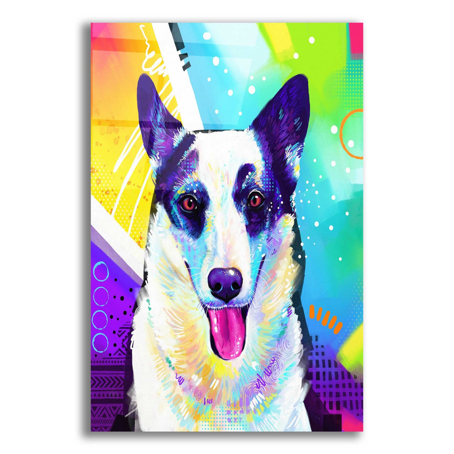 Epic Art 'Pop Art Border Collie' by Furbaby Affiliates, Acrylic Glass Wall Art,12x16