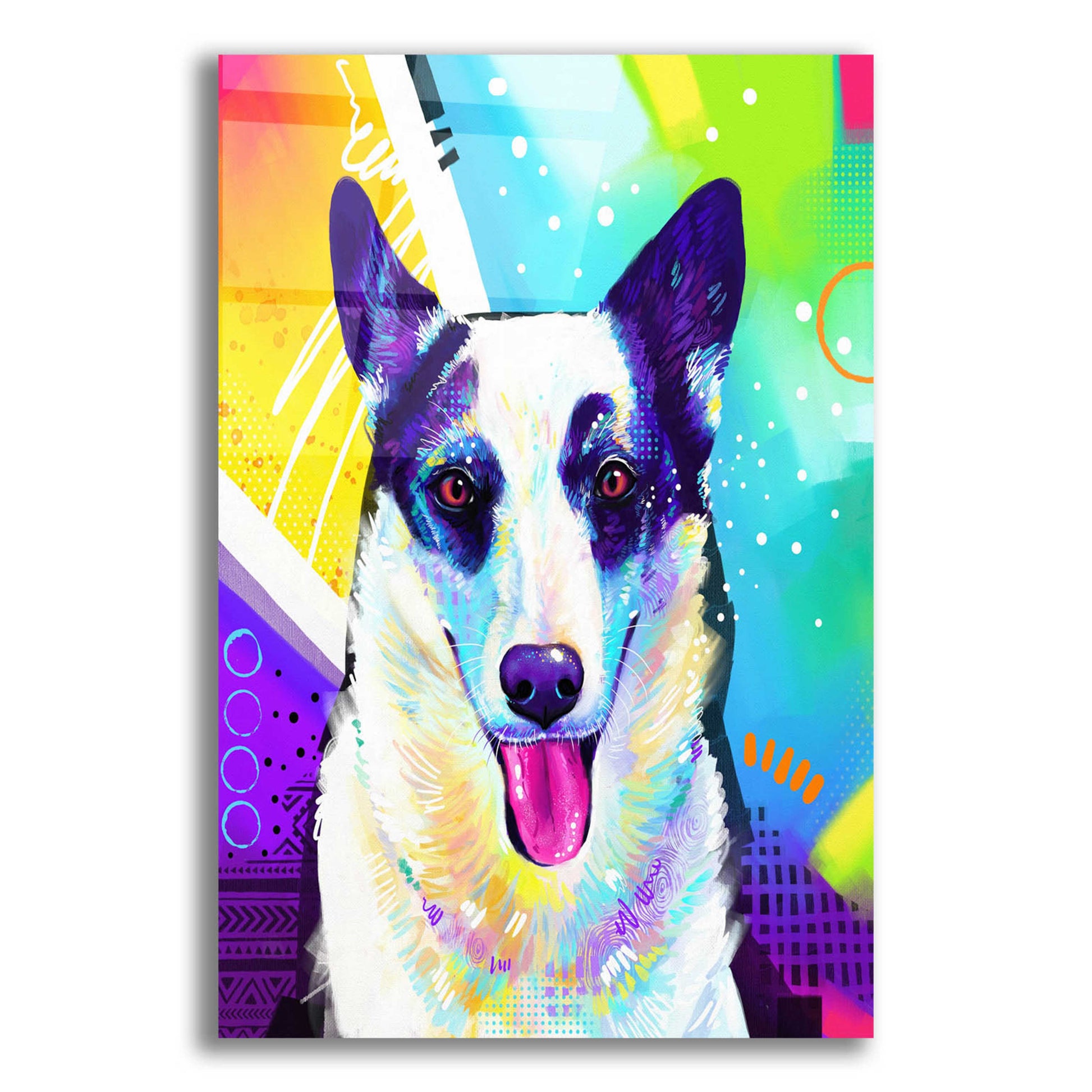 Epic Art 'Pop Art Border Collie' by Furbaby Affiliates, Acrylic Glass Wall Art,16x24