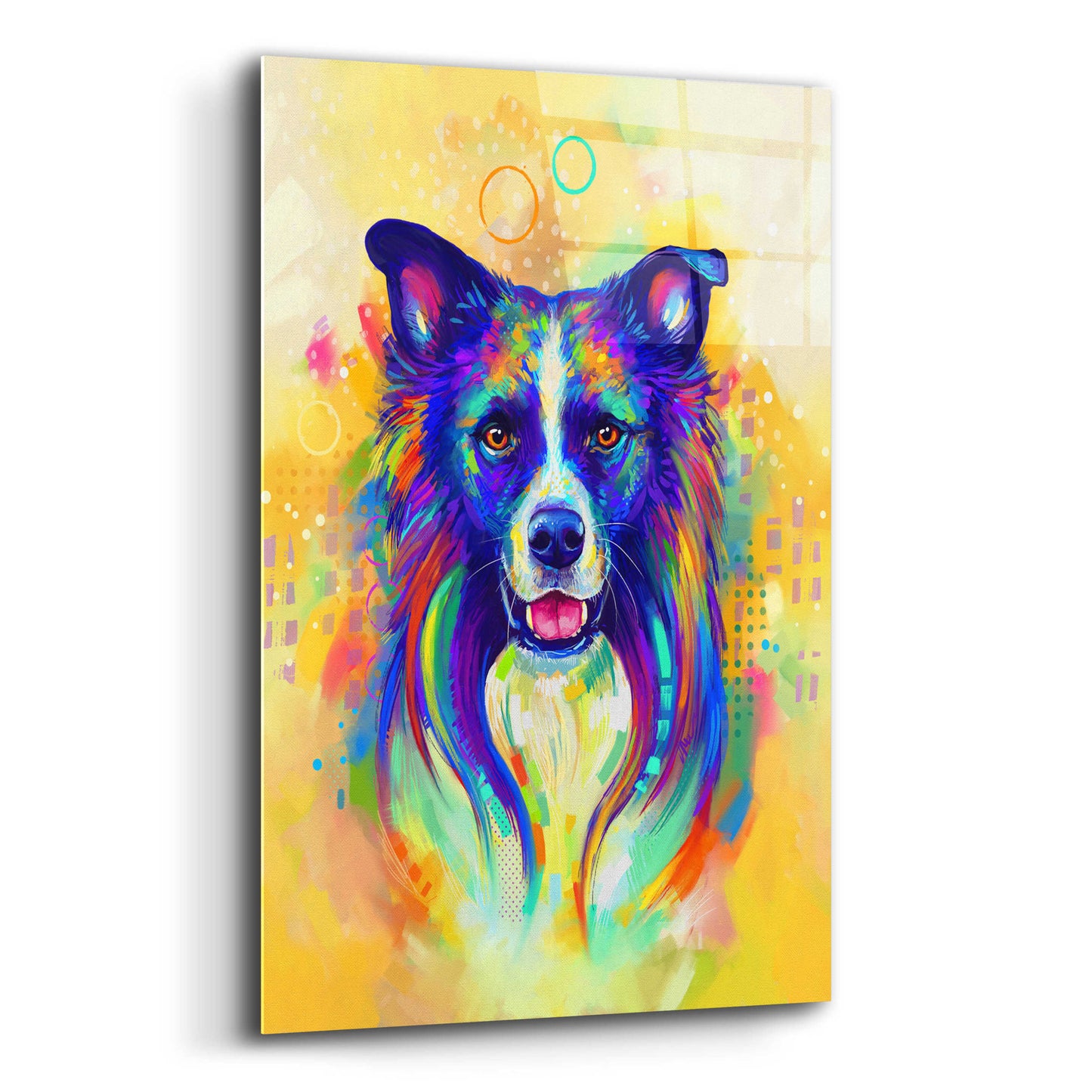 Epic Art 'Pop Art Border Collie 2' by Furbaby Affiliates, Acrylic Glass Wall Art,12x16