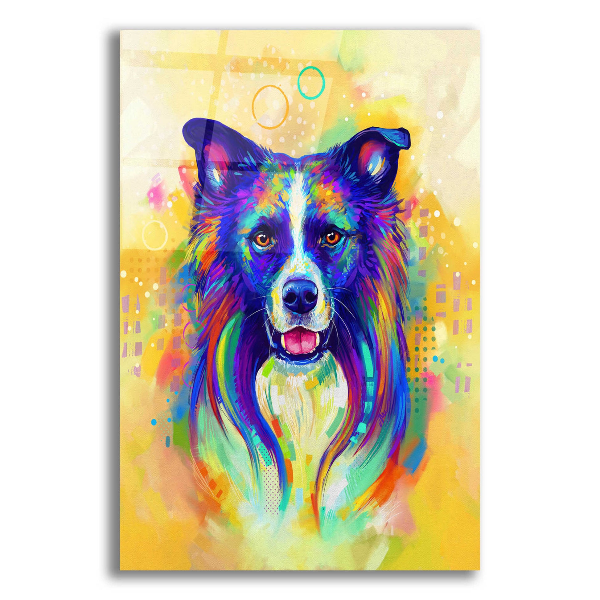 Epic Art 'Pop Art Border Collie 2' by Furbaby Affiliates, Acrylic Glass Wall Art,12x16