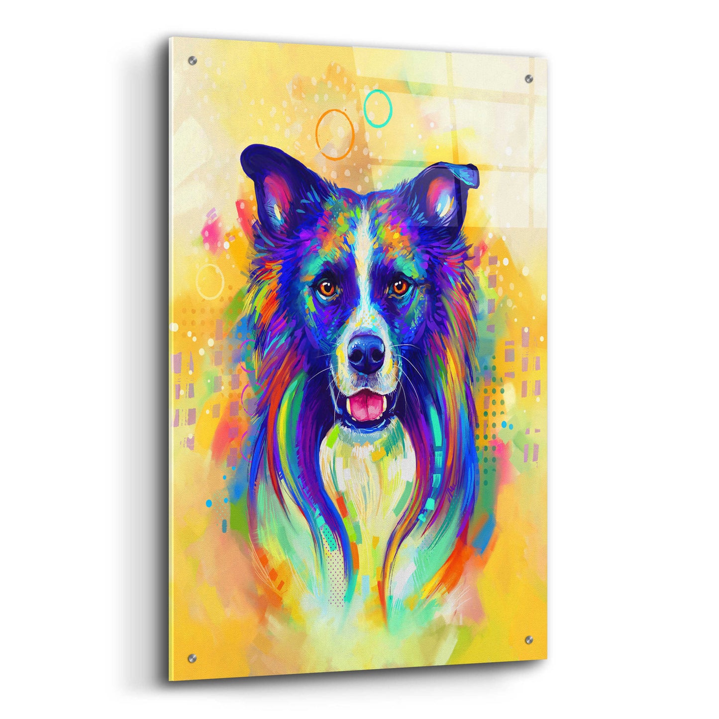 Epic Art 'Pop Art Border Collie 2' by Furbaby Affiliates, Acrylic Glass Wall Art,24x36