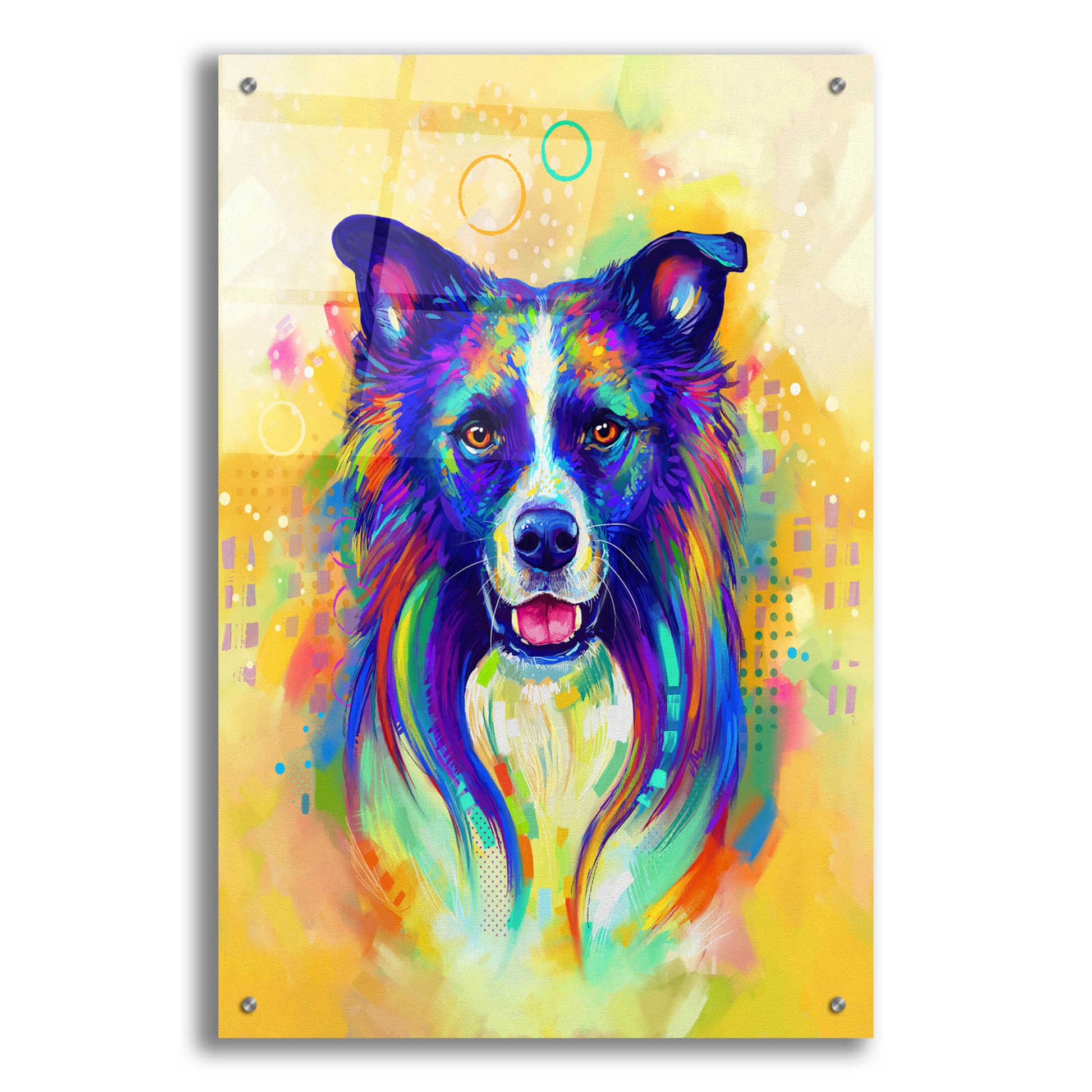 Epic Art 'Pop Art Border Collie 2' by Furbaby Affiliates, Acrylic Glass Wall Art,24x36