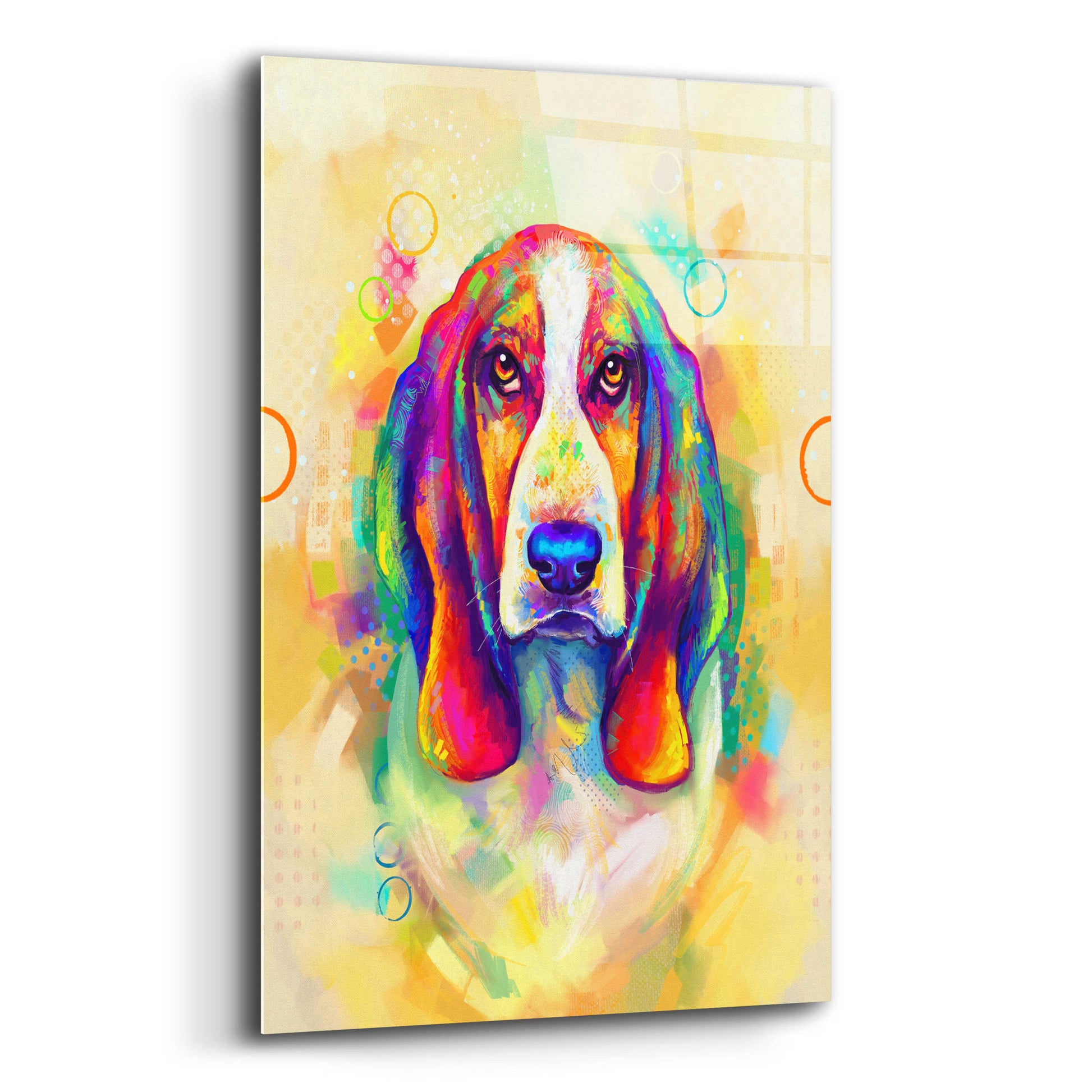 Epic Art 'Pop Art Basset Hound' by Furbaby Affiliates, Acrylic Glass Wall Art,12x16