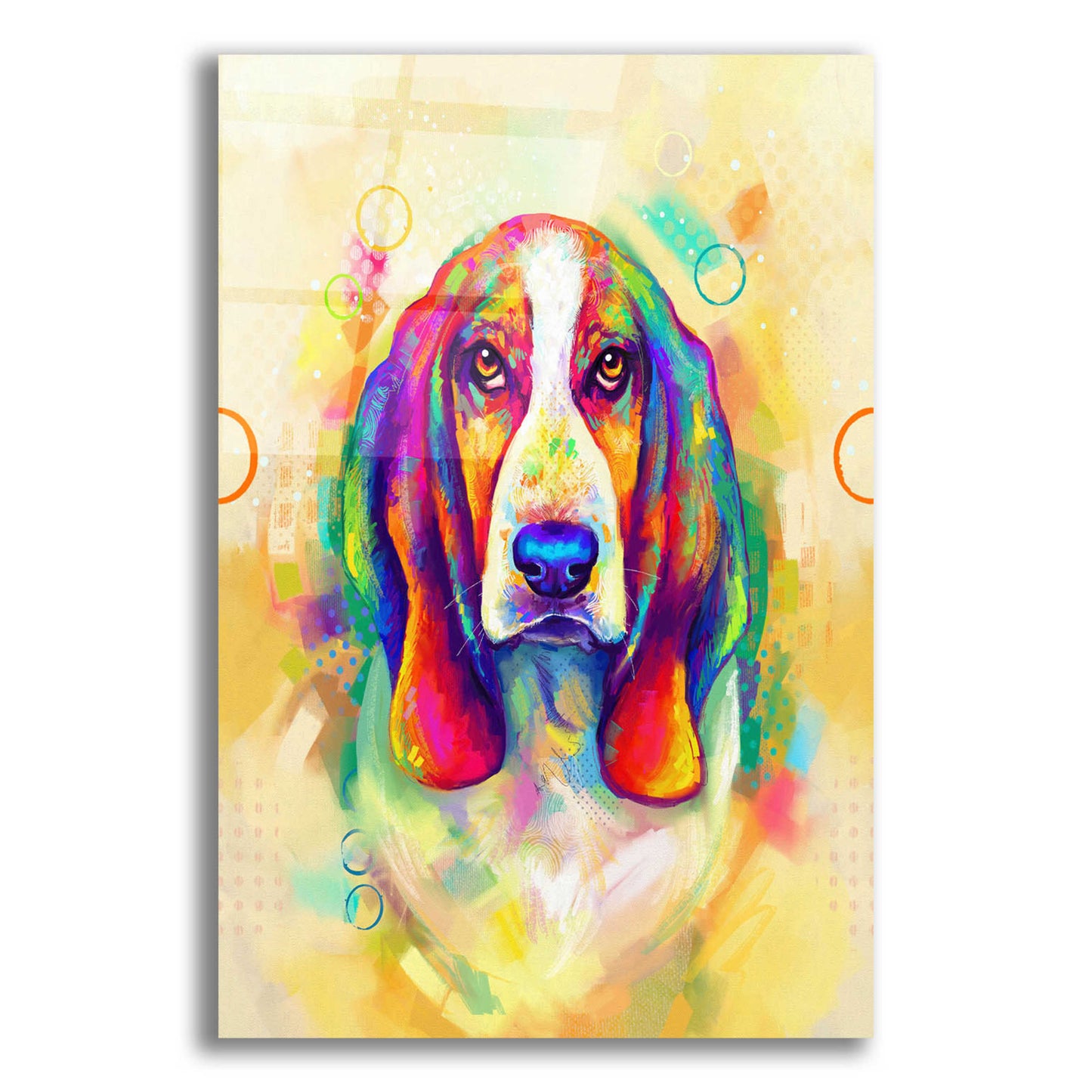 Epic Art 'Pop Art Basset Hound' by Furbaby Affiliates, Acrylic Glass Wall Art,12x16