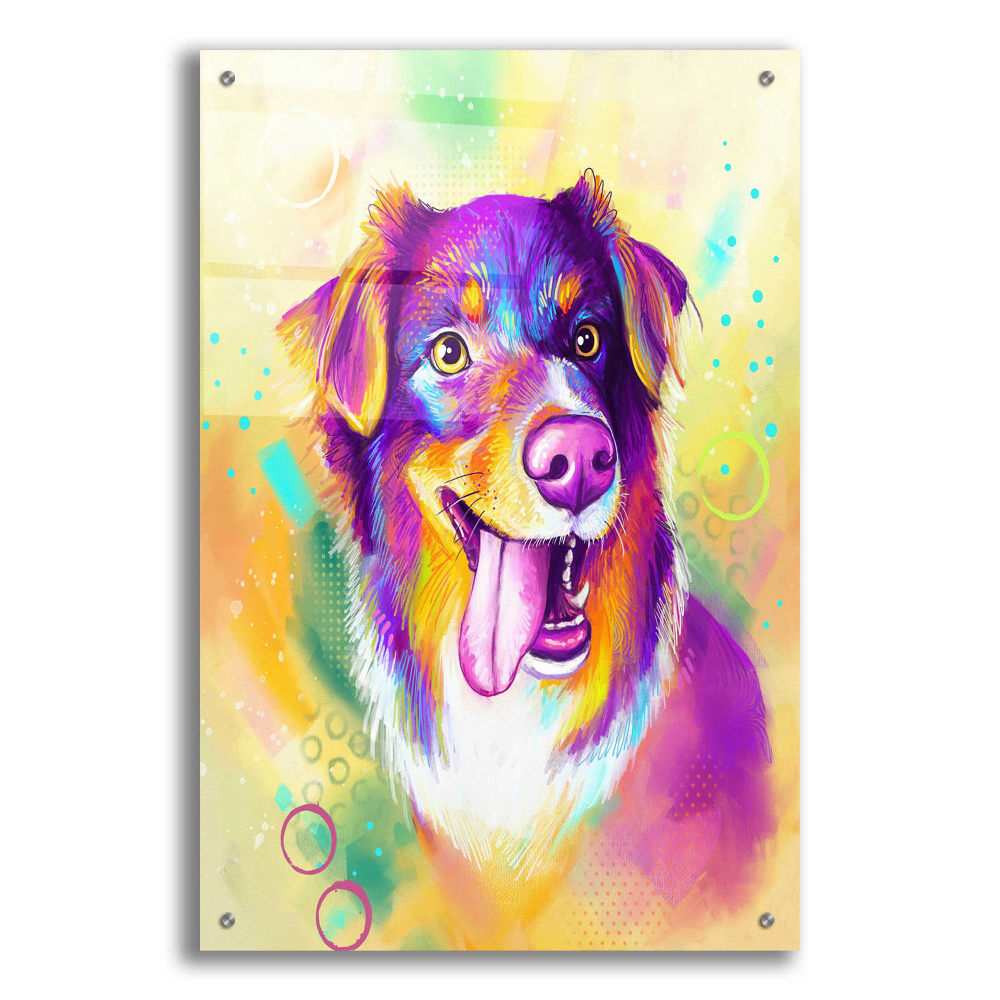 Epic Art Pop Art Australian Shepherd by Furbaby Affiliates Acrylic Glass Wall Art EpicArt