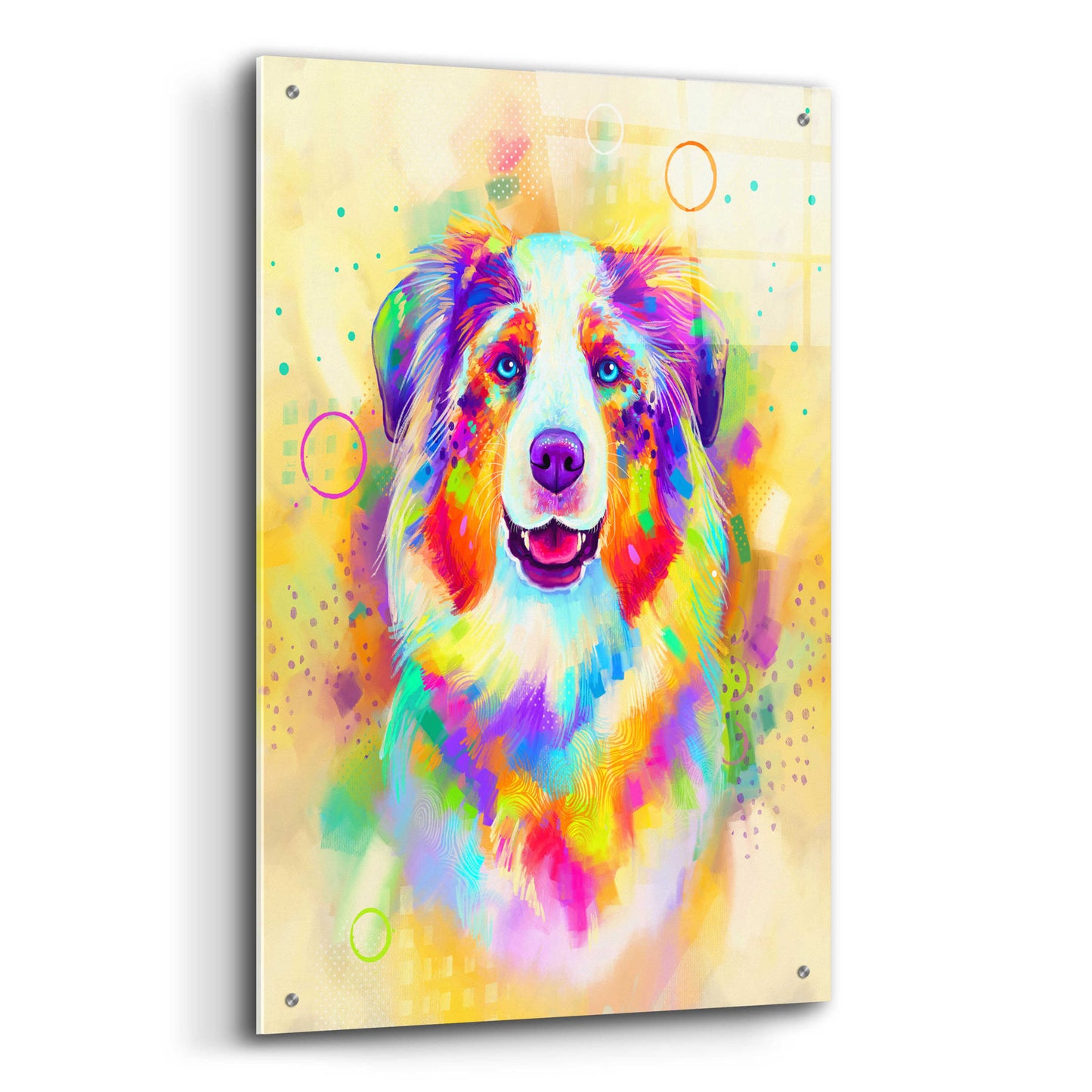 Epic Art 'Pop Art Australian Shepherd 4' by Furbaby Affiliates, Acrylic Glass Wall Art,24x36