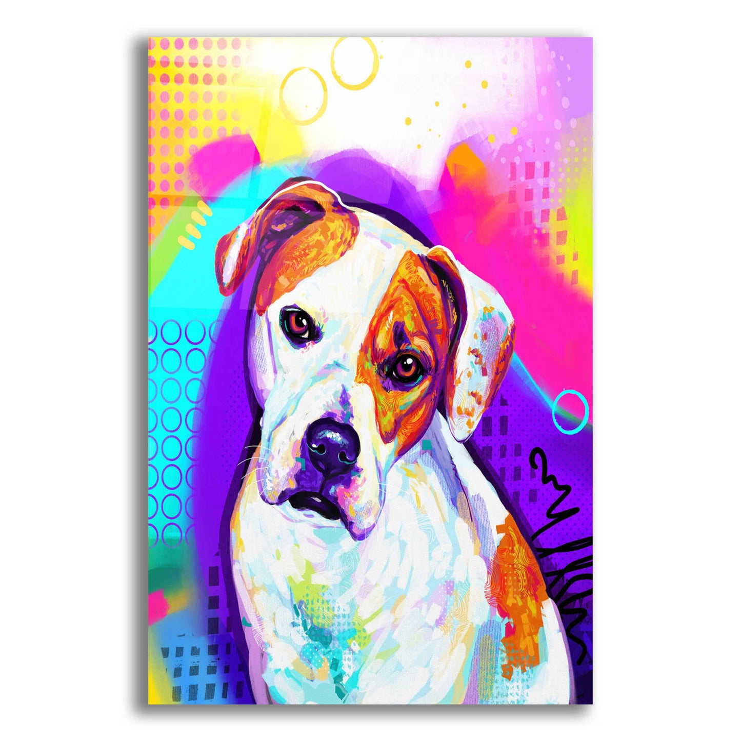 Epic Art 'Pop Art American Bulldog' by Furbaby Affiliates, Acrylic Glass Wall Art,12x16