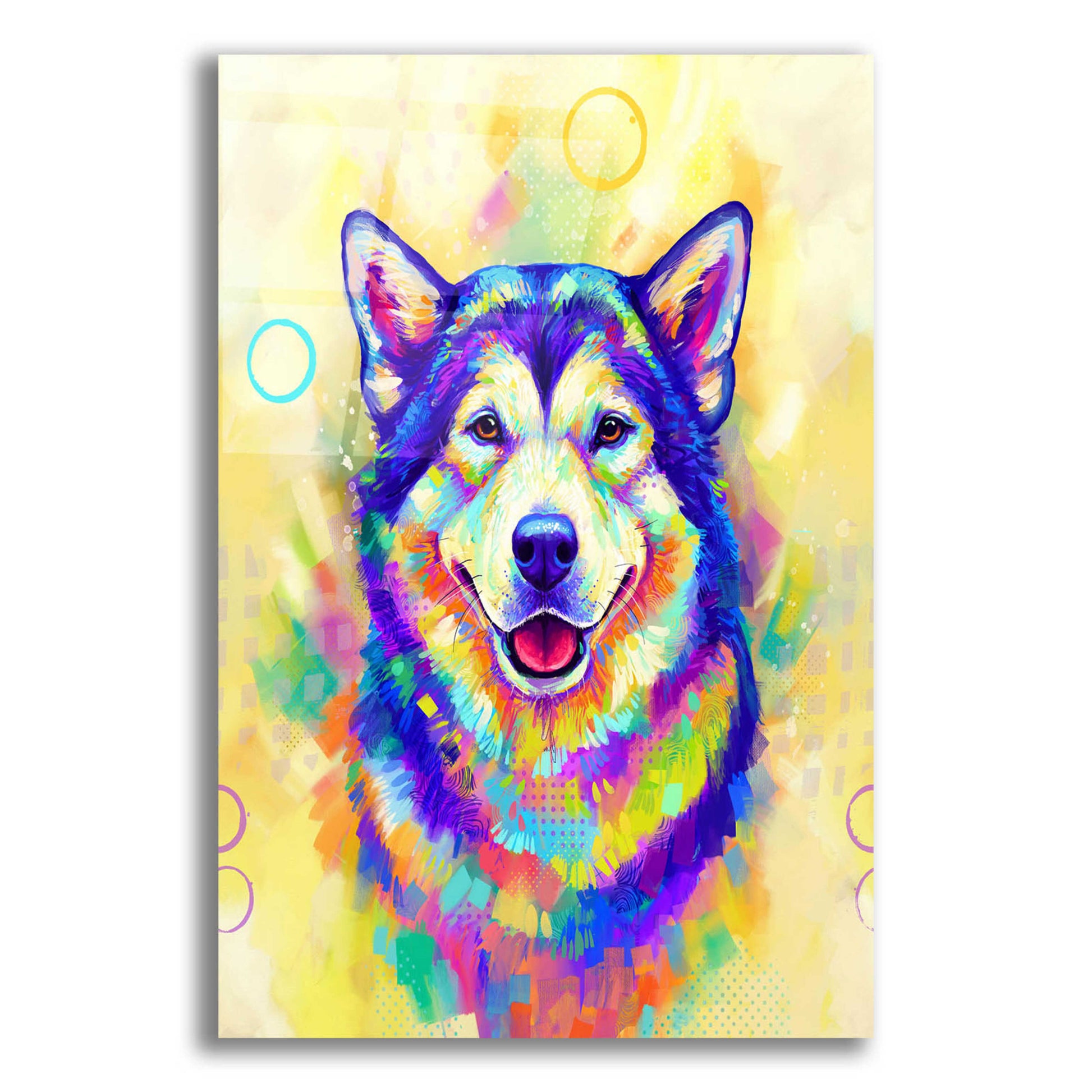 Epic Art 'Pop Art Alaskan Malamute' by Furbaby Affiliates, Acrylic Glass Wall Art,12x16