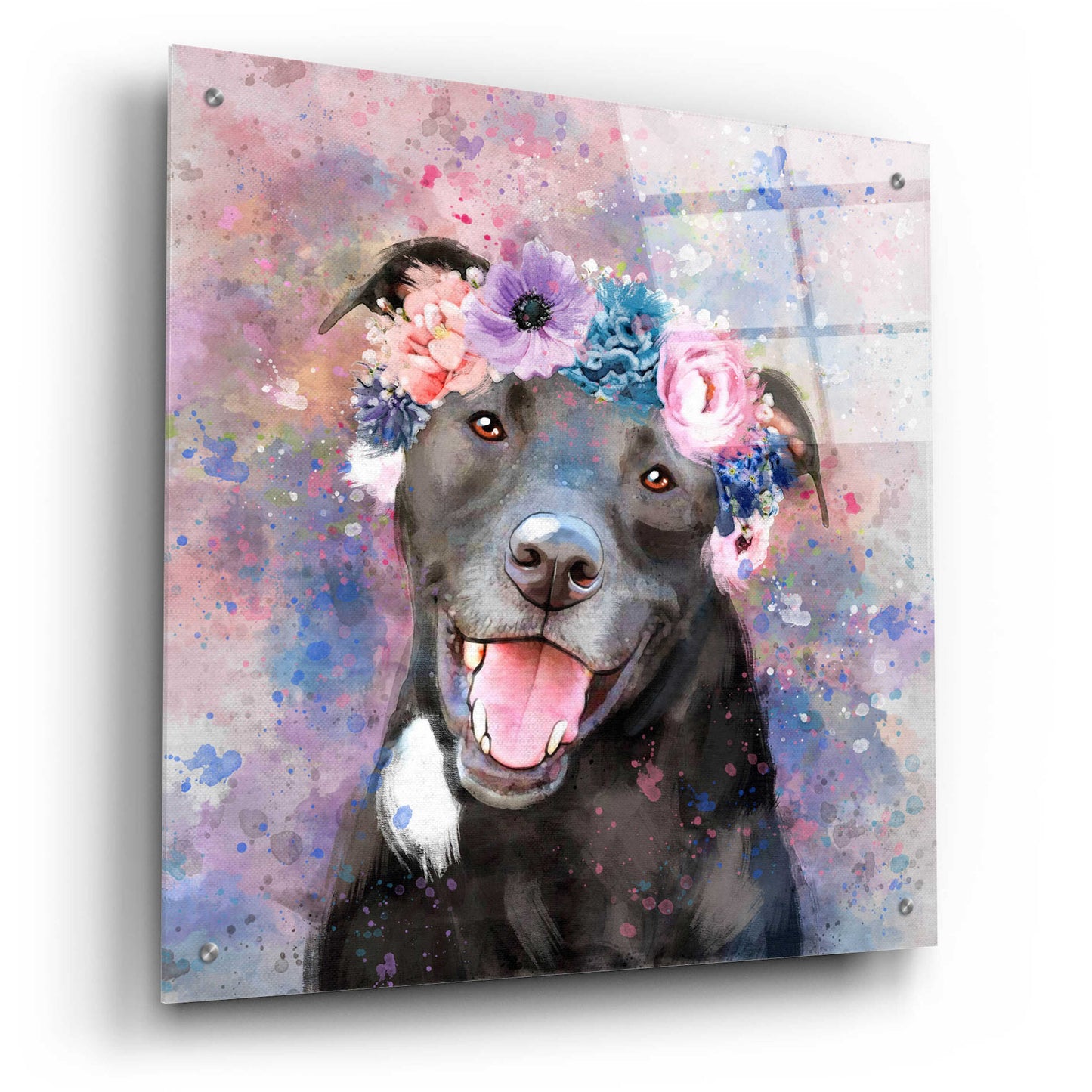 Epic Art 'Flower Crown Staffordshire Terrier' by Furbaby Affiliates, Acrylic Glass Wall Art,24x24