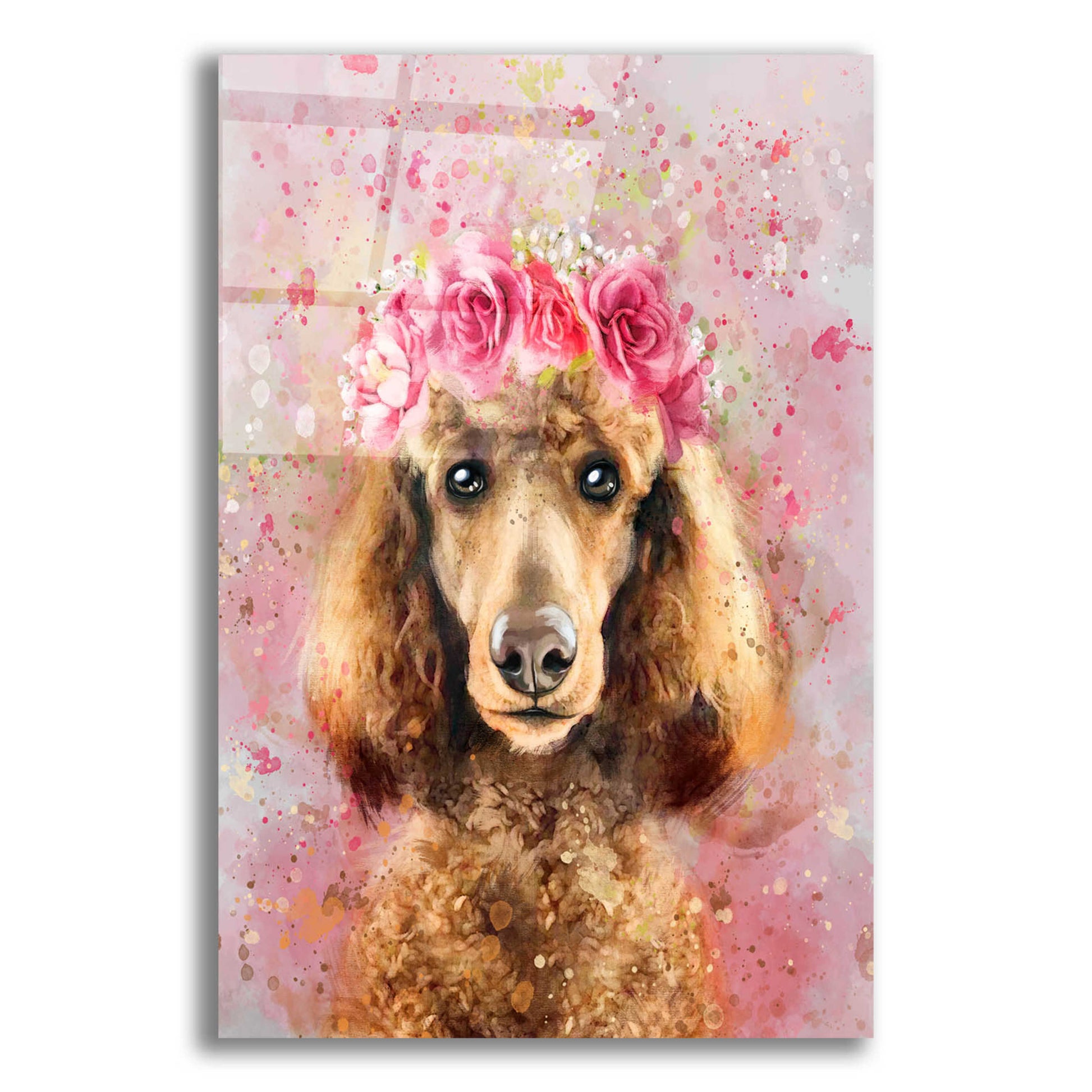 Epic Art 'Flower Crown Poodle' by Furbaby Affiliates, Acrylic Glass Wall Art,12x16