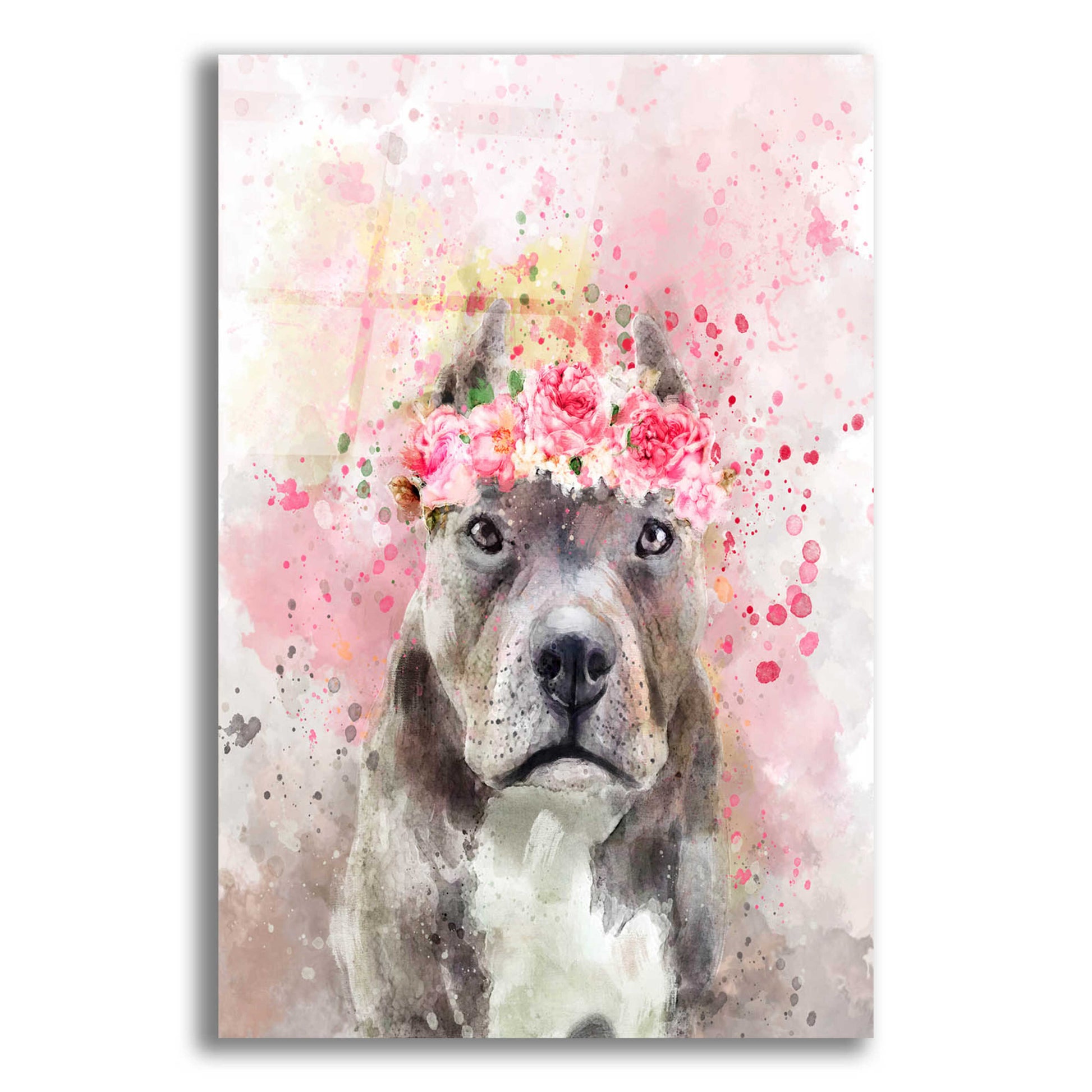 Epic Art 'Flower Crown Pit Bull' by Furbaby Affiliates, Acrylic Glass Wall Art,12x16