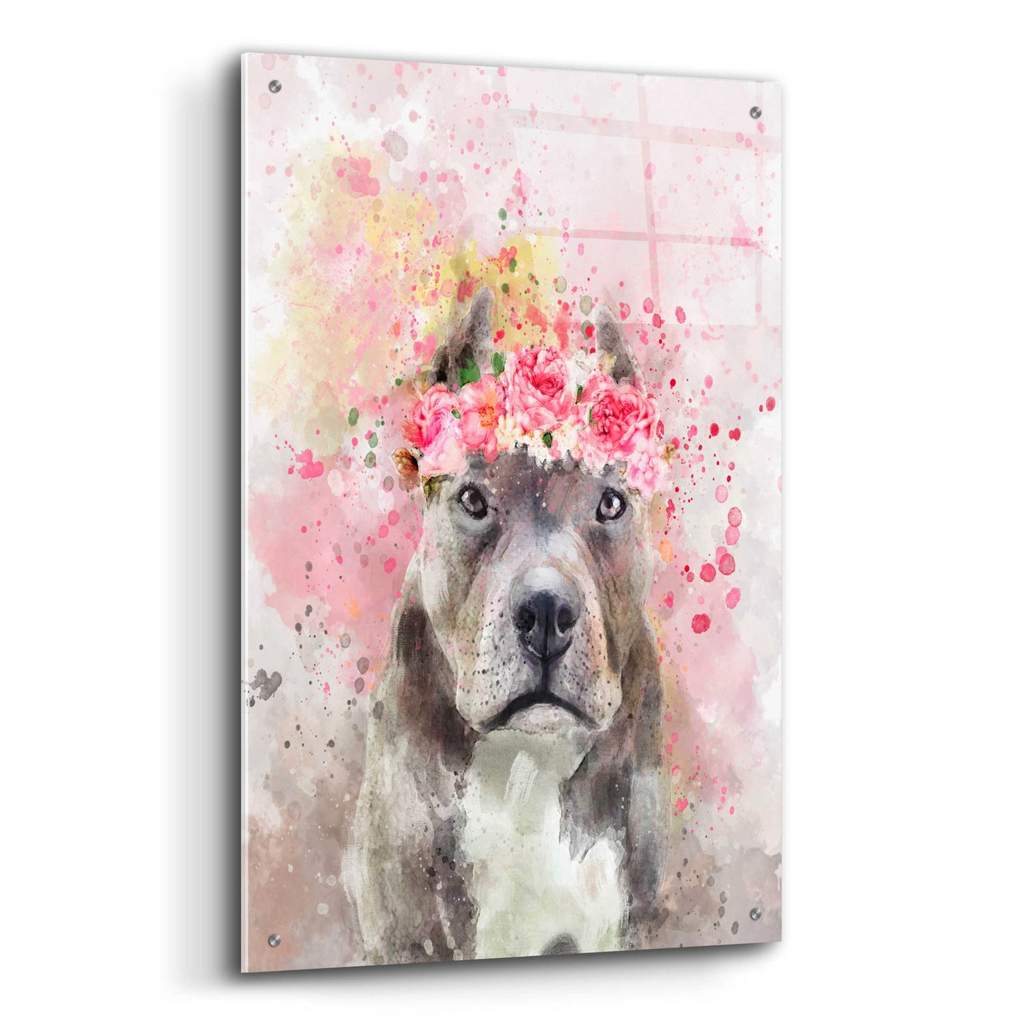 Epic Art 'Flower Crown Pit Bull' by Furbaby Affiliates, Acrylic Glass Wall Art,24x36