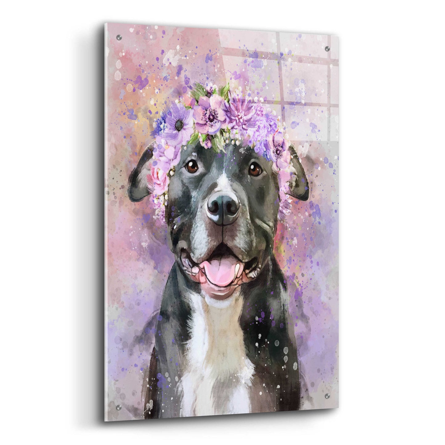 Epic Art 'Flower Crown Pit Bull 6' by Furbaby Affiliates, Acrylic Glass Wall Art,24x36