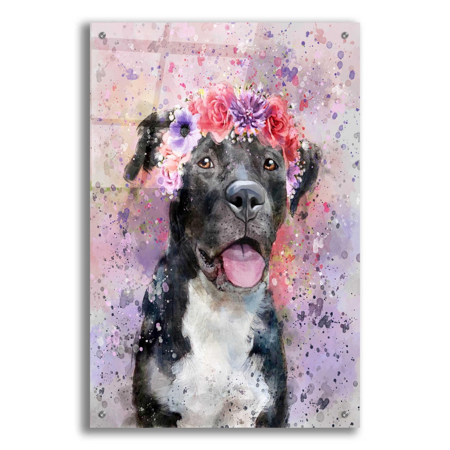 Epic Art 'Flower Crown Pit Bull 4' by Furbaby Affiliates, Acrylic Glass Wall Art,24x36