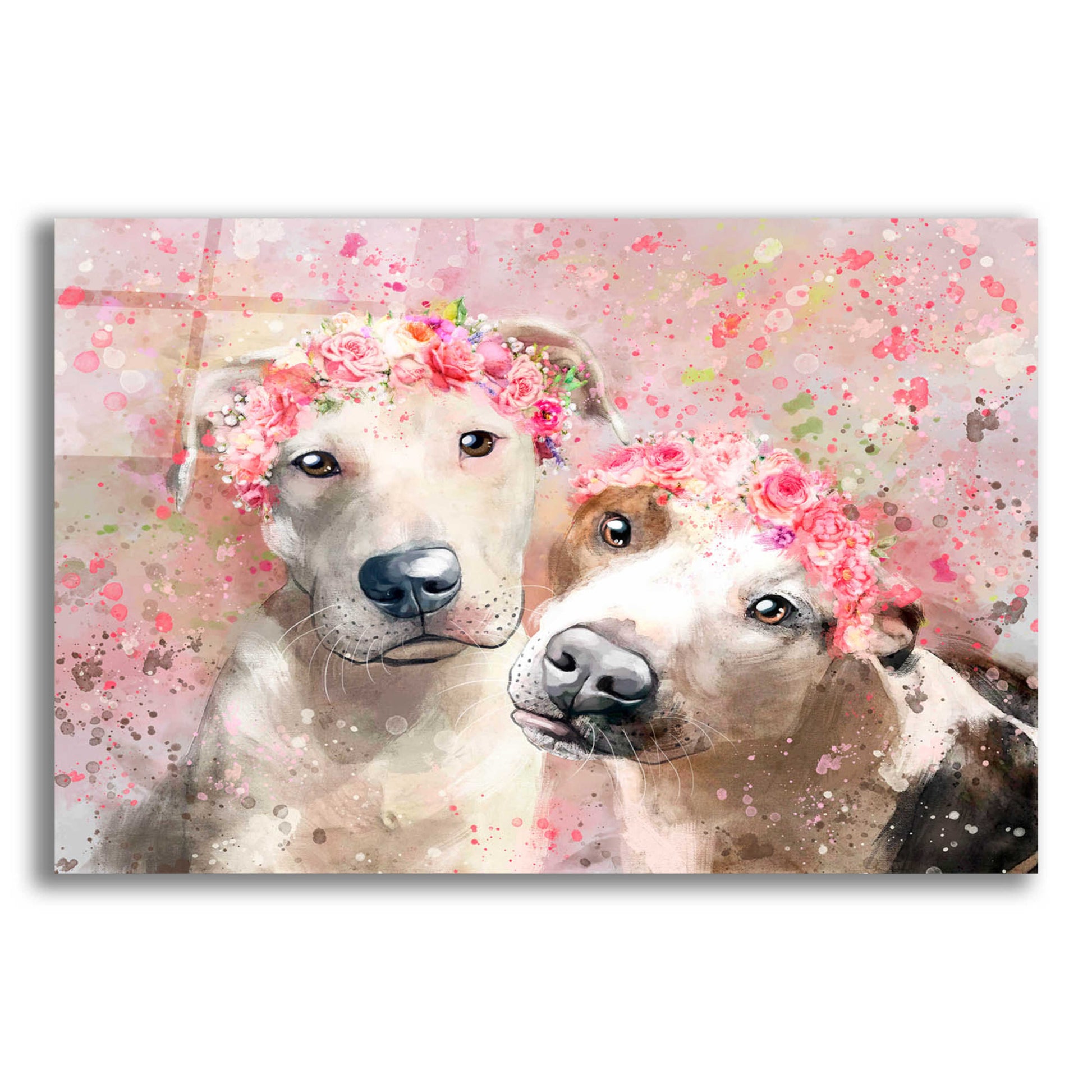 Epic Art 'Flower Crown Pit Bull 3' by Furbaby Affiliates, Acrylic Glass Wall Art,16x12