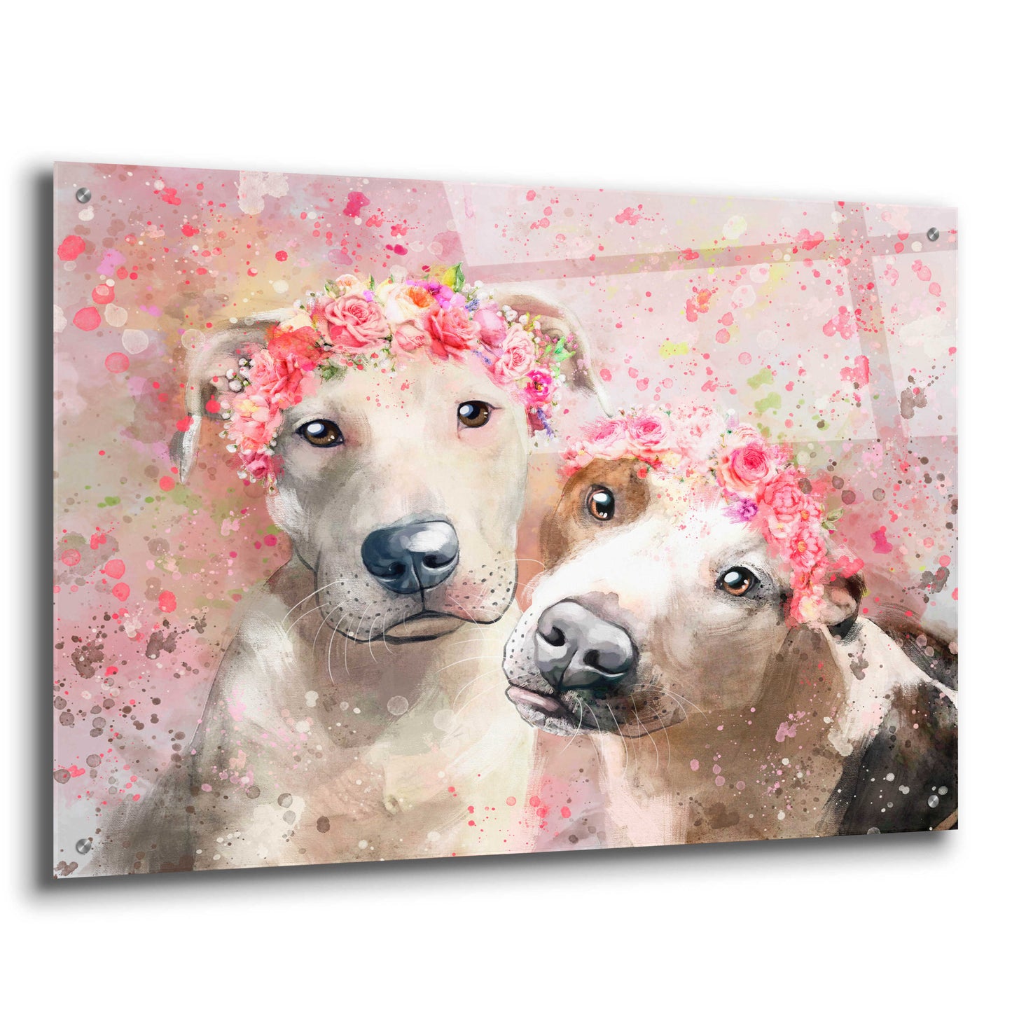 Epic Art 'Flower Crown Pit Bull 3' by Furbaby Affiliates, Acrylic Glass Wall Art,36x24