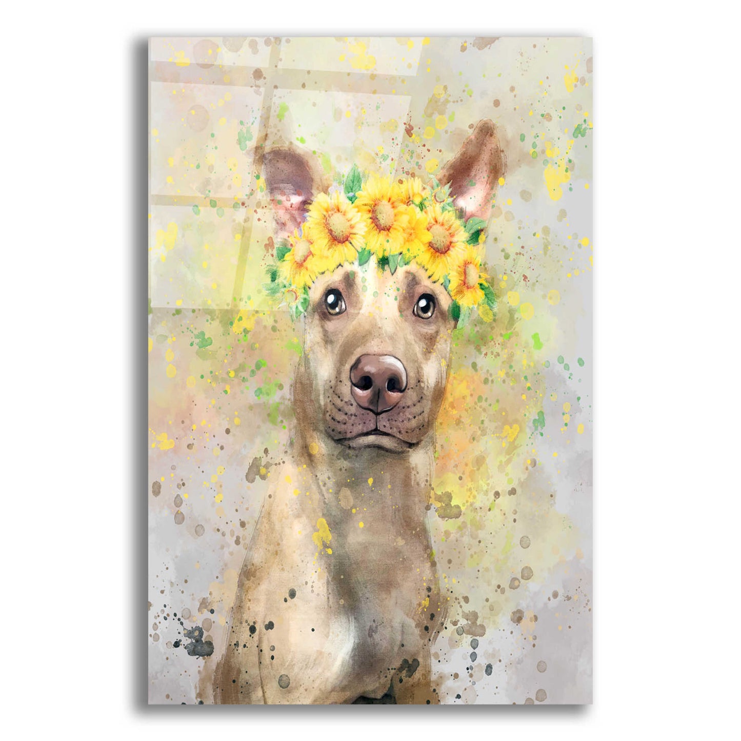 Epic Art 'Flower Crown Pit Bull 2' by Furbaby Affiliates, Acrylic Glass Wall Art,12x16