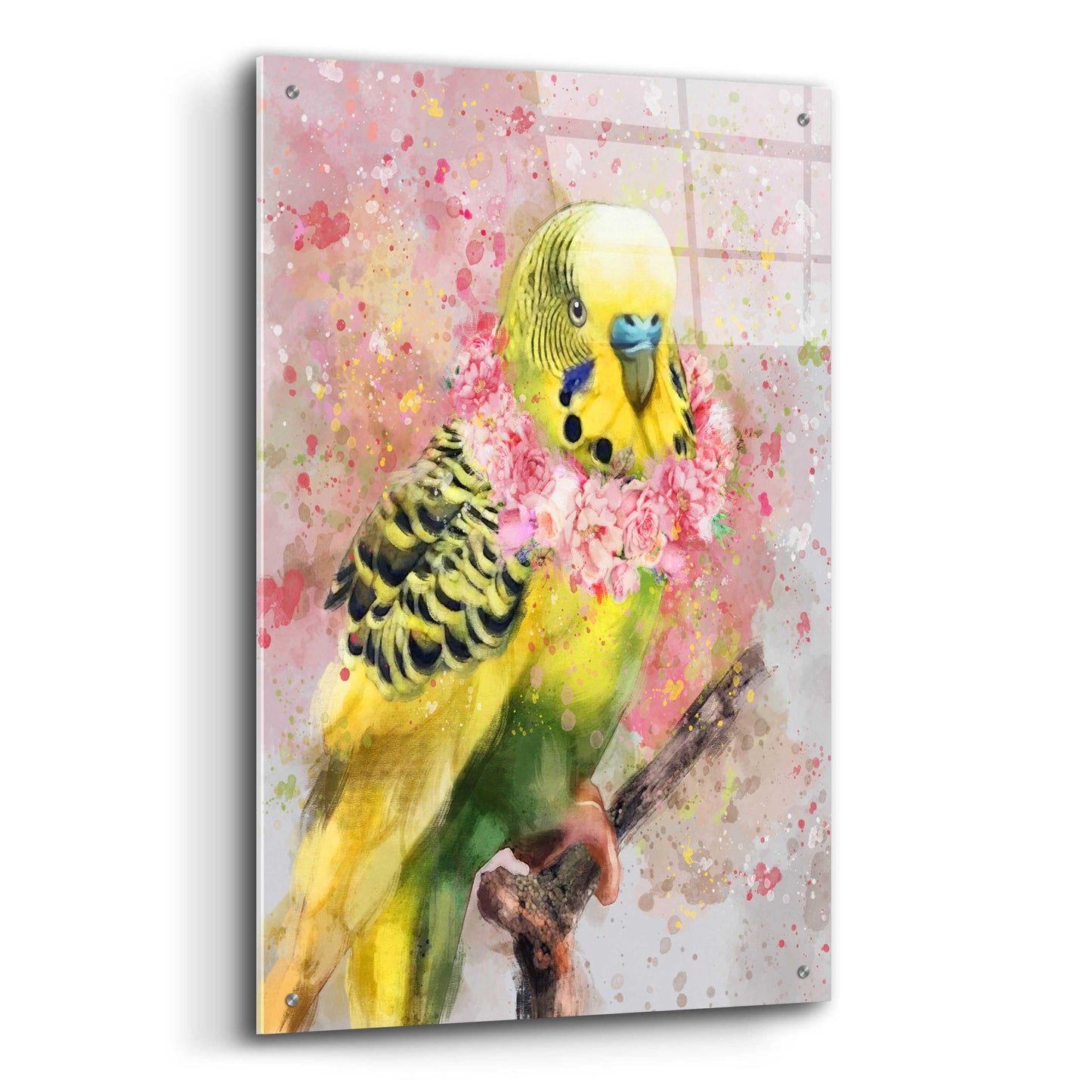 Epic Art 'Flower Crown Parakeet' by Furbaby Affiliates, Acrylic Glass Wall Art,24x36