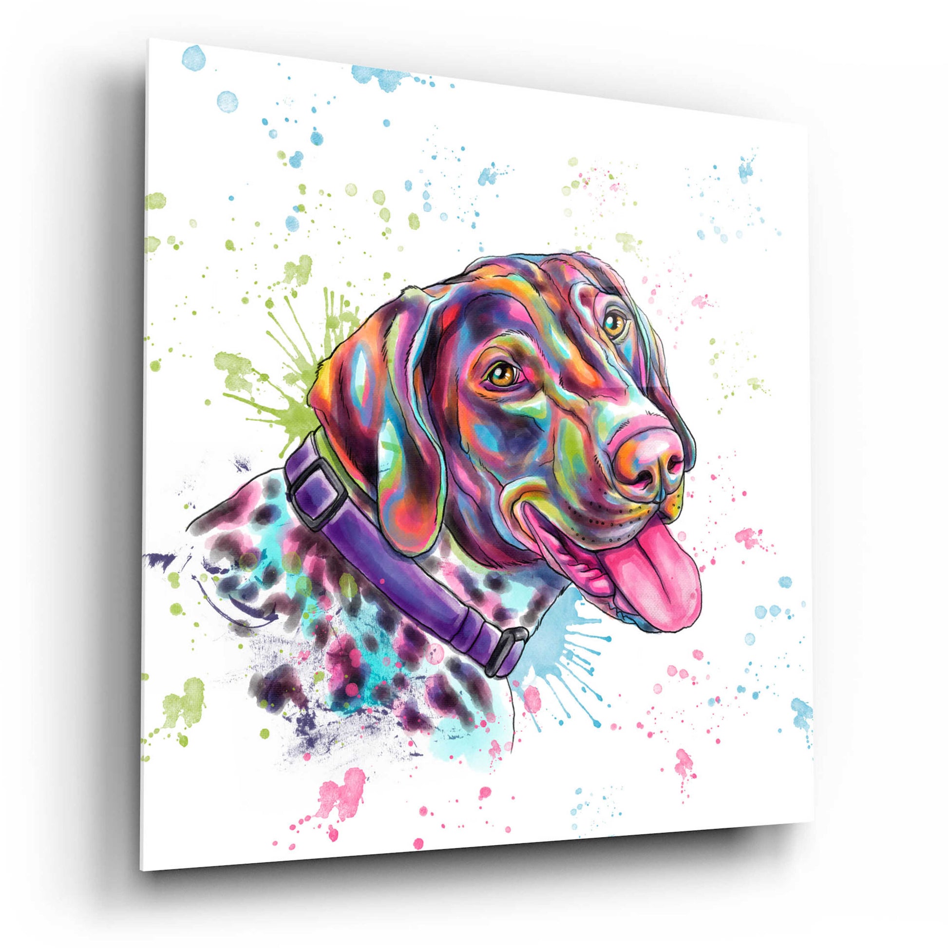 Epic Art 'Colorful Watercolor German Shorthaired Pointer' by Furbaby Affiliates, Acrylic Glass Wall Art,12x12