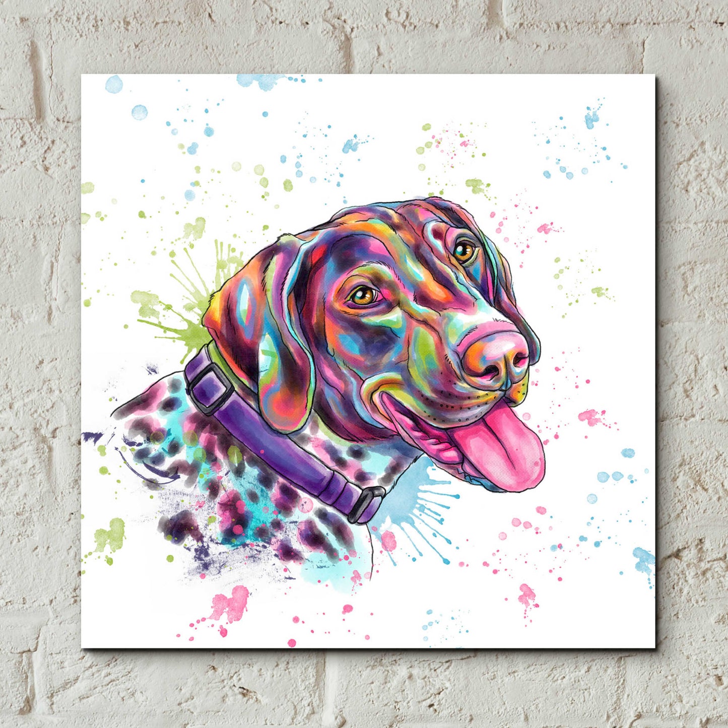 Epic Art 'Colorful Watercolor German Shorthaired Pointer' by Furbaby Affiliates, Acrylic Glass Wall Art,12x12