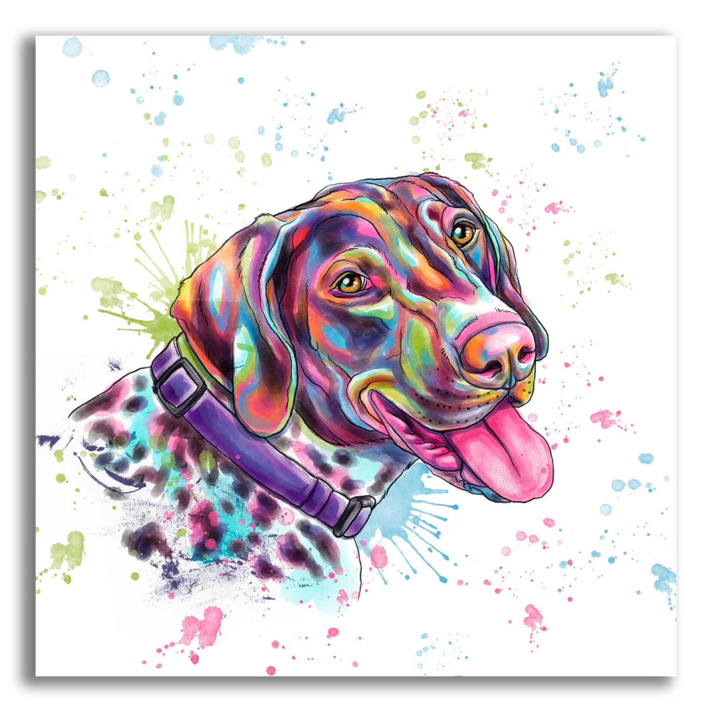 Epic Art 'Colorful Watercolor German Shorthaired Pointer' by Furbaby Affiliates, Acrylic Glass Wall Art,12x12