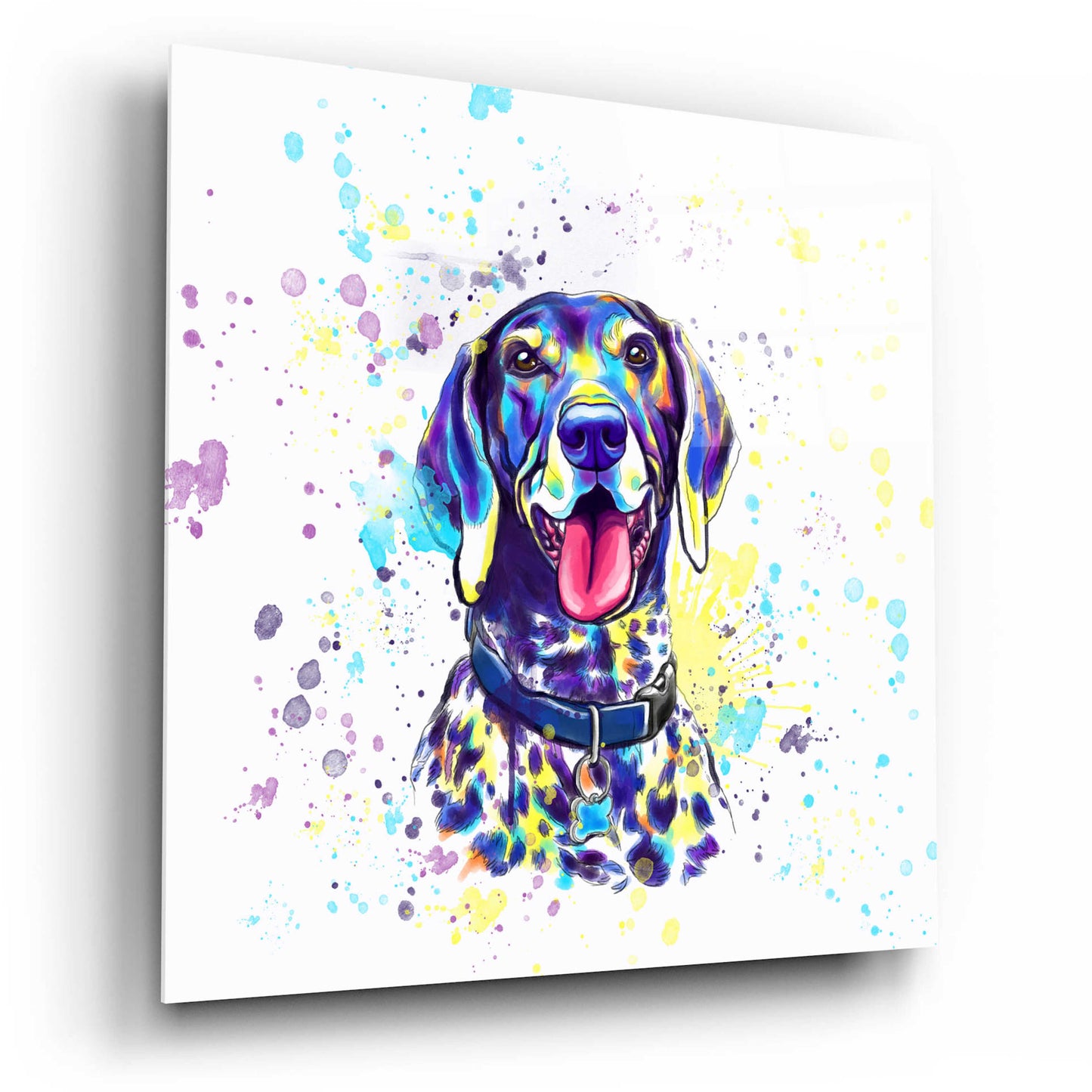 Epic Art 'Colorful Watercolor German Shorthaired Pointer 2' by Furbaby Affiliates, Acrylic Glass Wall Art,12x12