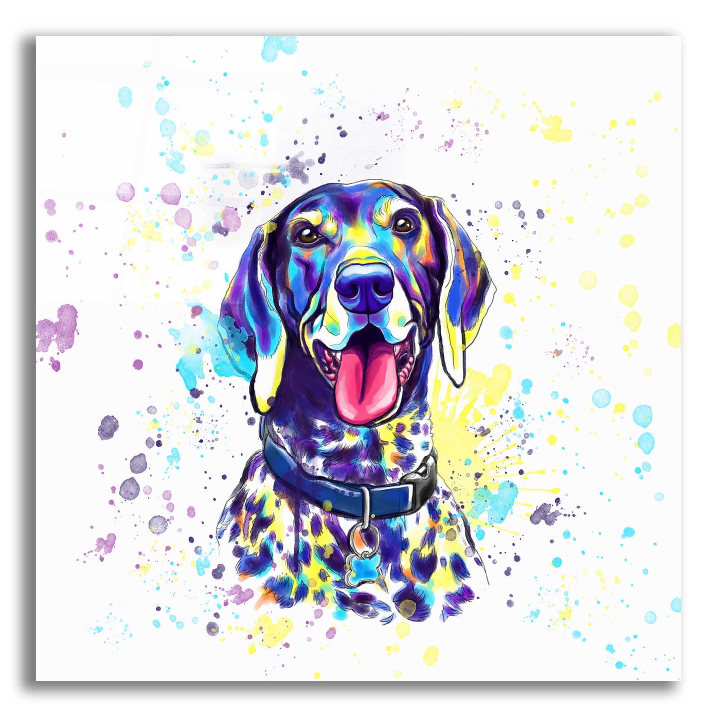 Epic Art 'Colorful Watercolor German Shorthaired Pointer 2' by Furbaby Affiliates, Acrylic Glass Wall Art,12x12