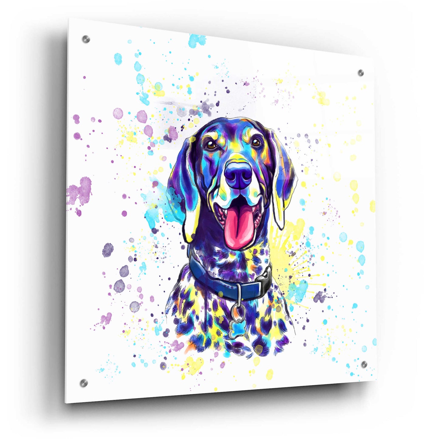 Epic Art 'Colorful Watercolor German Shorthaired Pointer 2' by Furbaby Affiliates, Acrylic Glass Wall Art,24x24